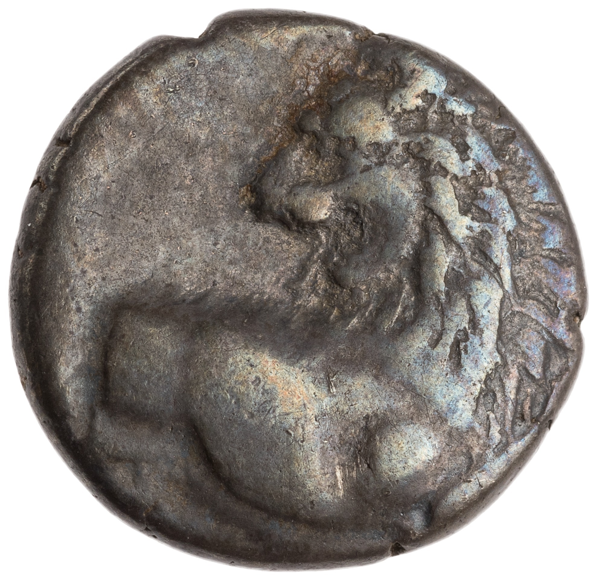 CN Type cn.chersonesus_thrace.1_ed.104, аверс, cn-coins