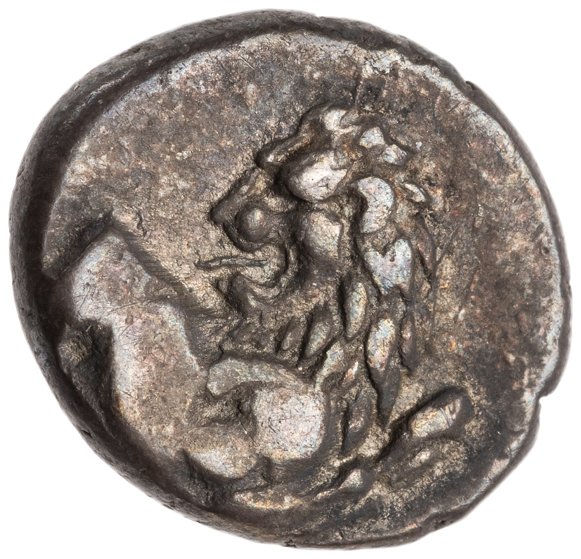 CN Type cn.chersonesus_thrace.1_ed.105, аверс, cn-coins