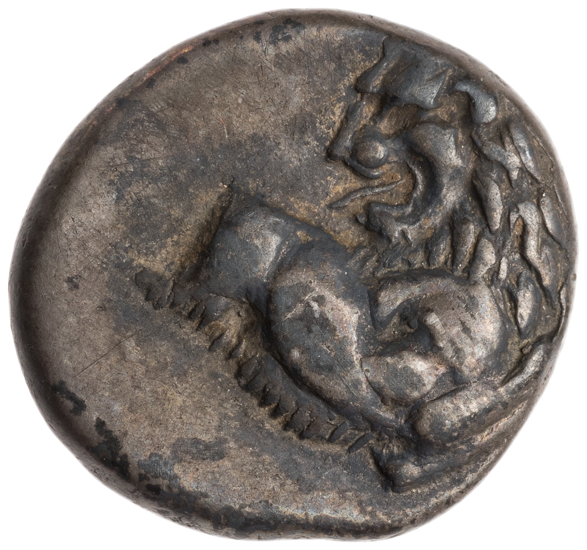 CN Type cn.chersonesus_thrace.1_ed.105, аверс, cn-coins