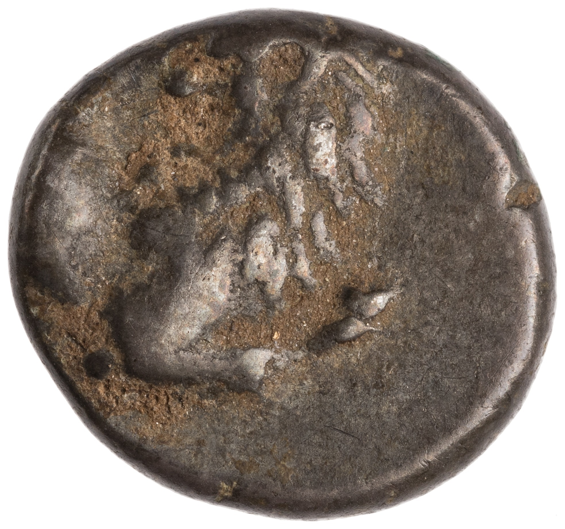 CN Type cn.chersonesus_thrace.1_ed.105, аверс, cn-coins