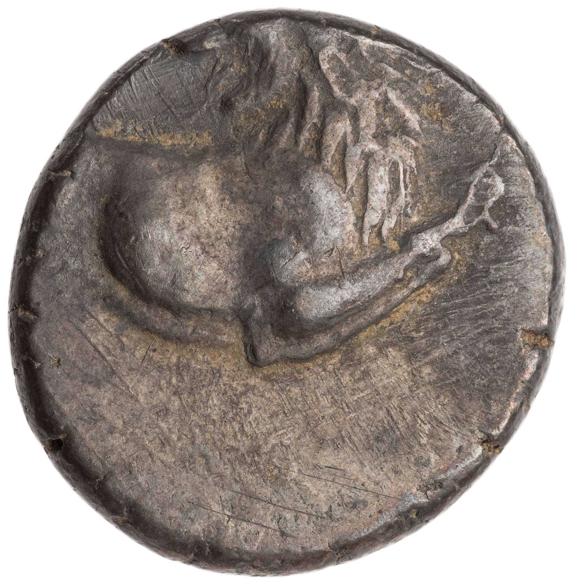 CN Type cn.chersonesus_thrace.1_ed.106, аверс, cn-coins