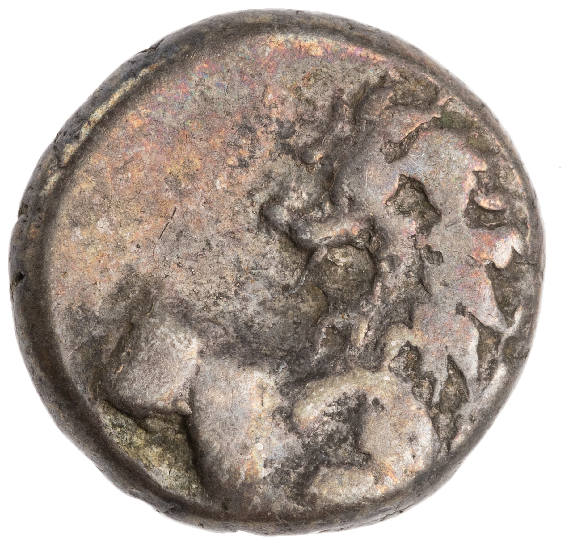 CN Type cn.chersonesus_thrace.1_ed.107, аверс, cn-coins