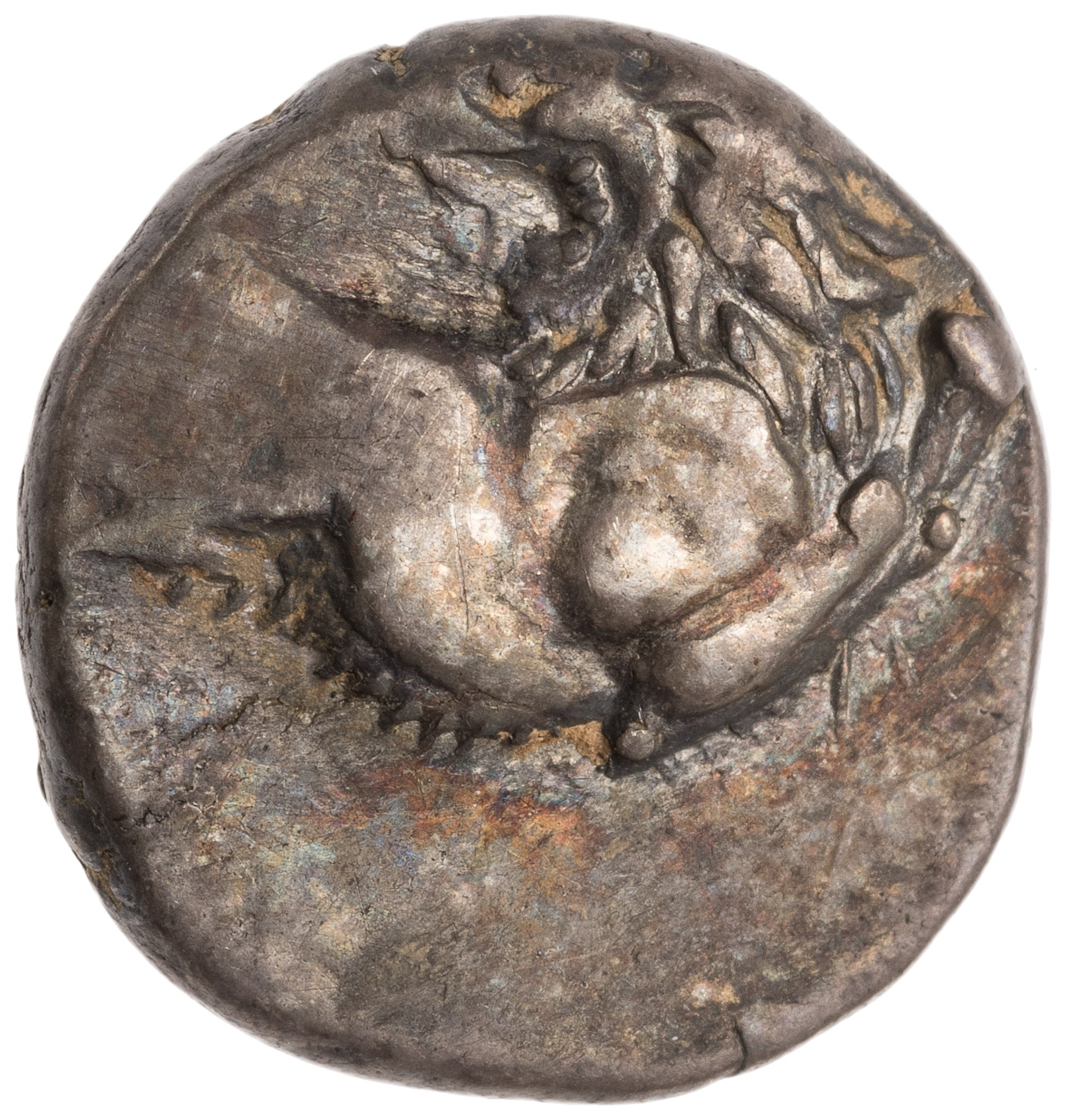 CN Type cn.chersonesus_thrace.1_ed.107, аверс, cn-coins
