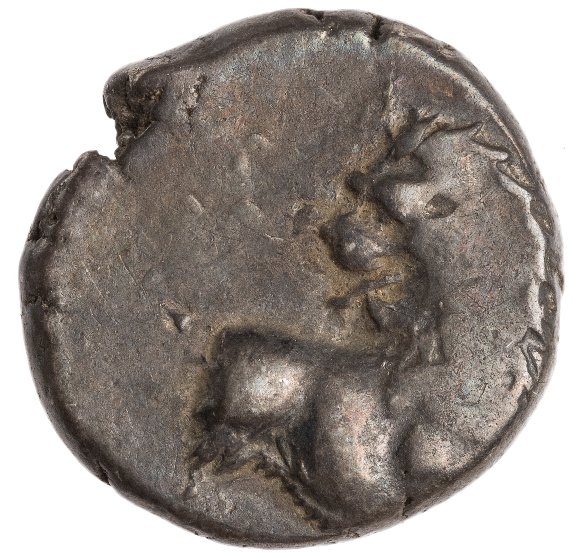 CN Type cn.chersonesus_thrace.1_ed.107, аверс, cn-coins