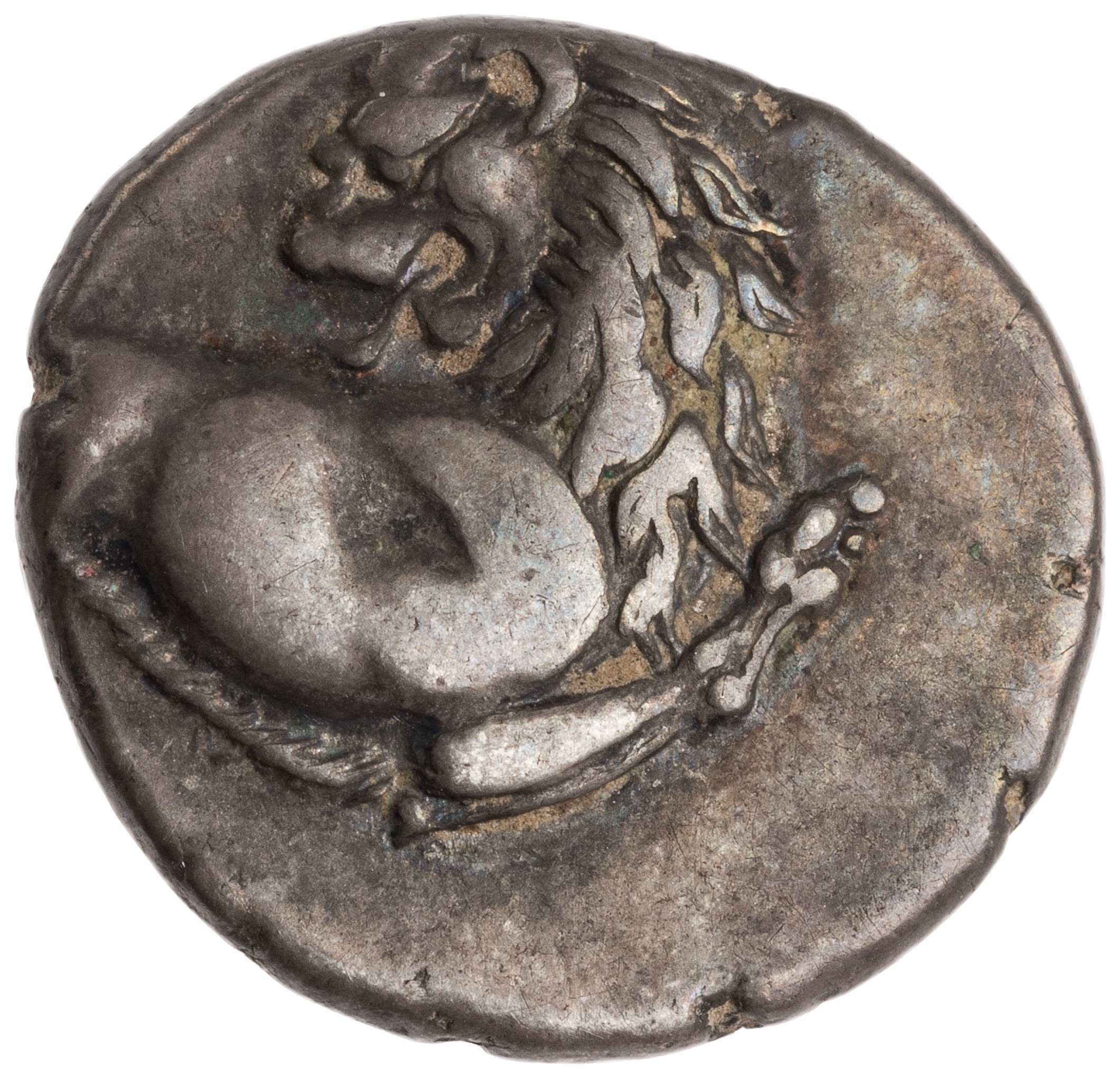 CN Type cn.chersonesus_thrace.1_ed.34, аверс, cn-coins