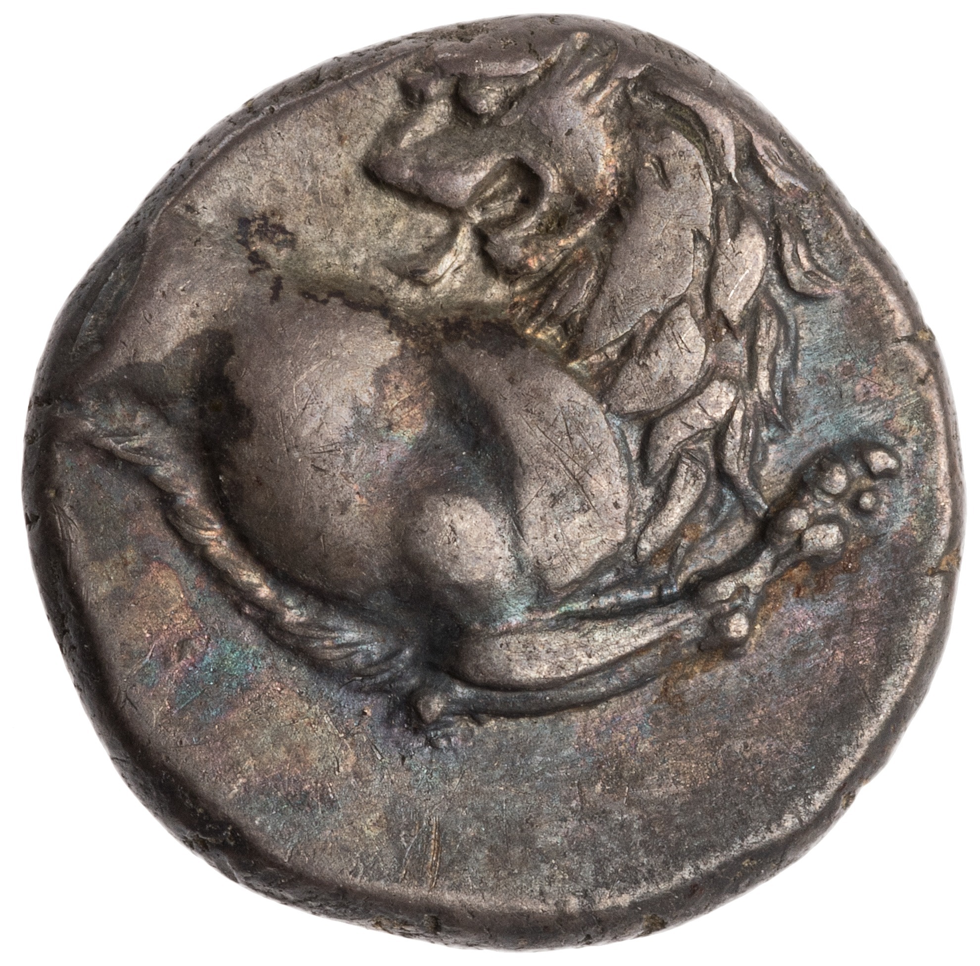 CN Type cn.chersonesus_thrace.1_ed.34, аверс, cn-coins