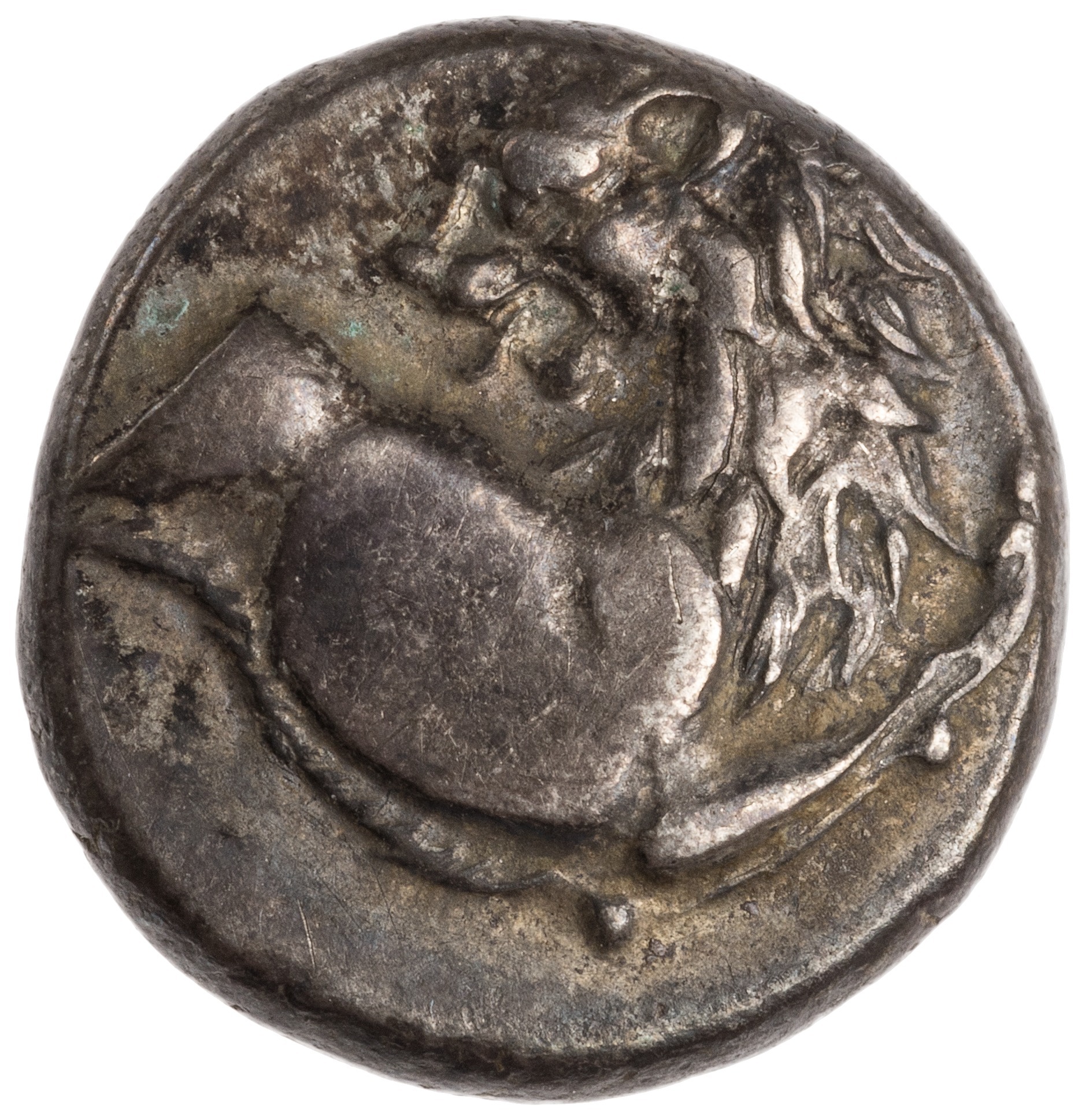 CN Type cn.chersonesus_thrace.1_ed.34, аверс, cn-coins