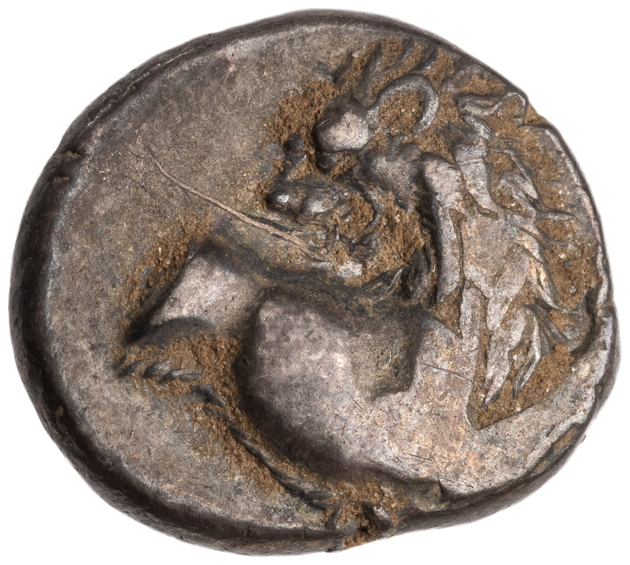CN Type cn.chersonesus_thrace.1_ed.34, аверс, cn-coins