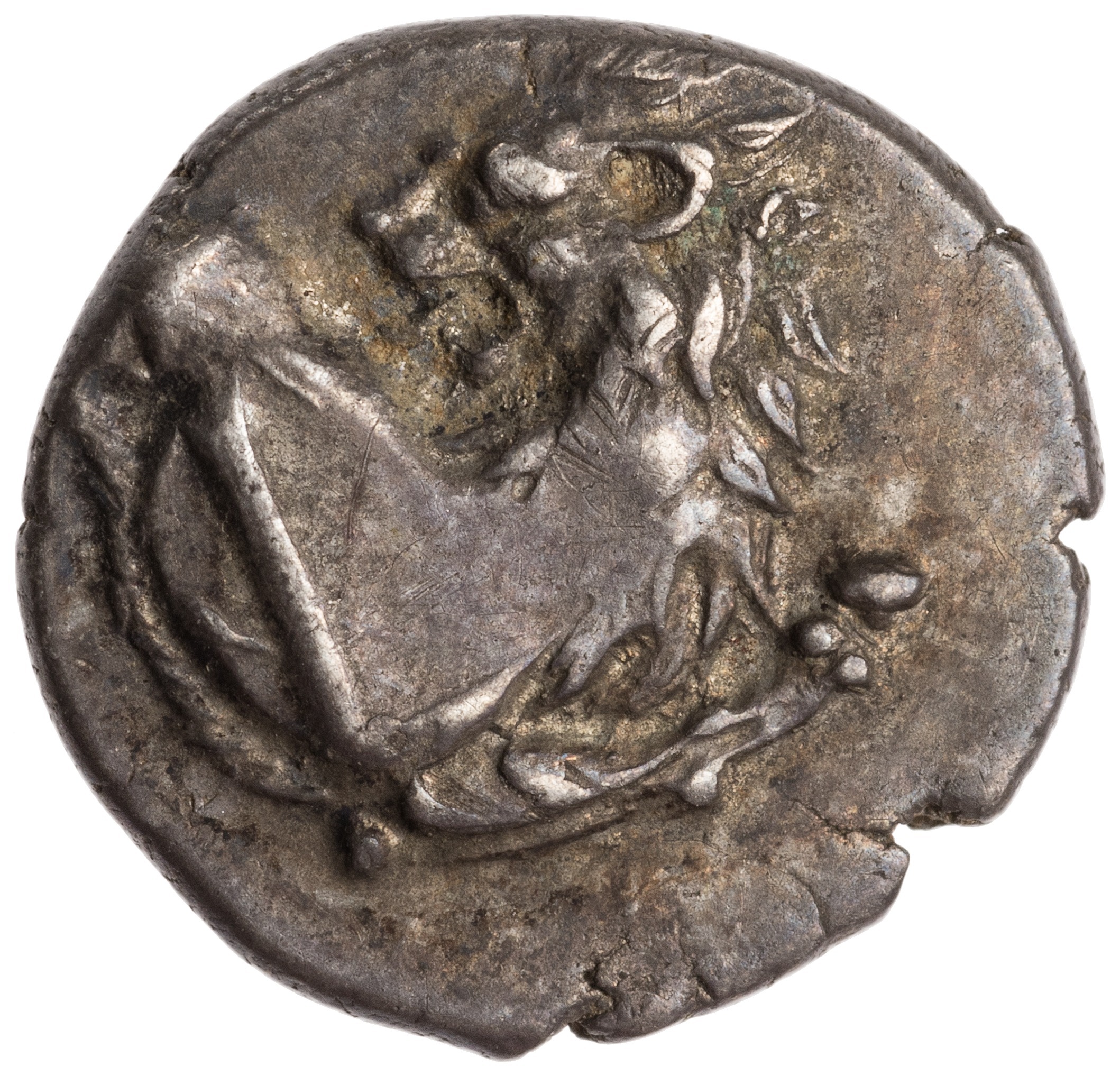 CN Type cn.chersonesus_thrace.1_ed.34, аверс, cn-coins