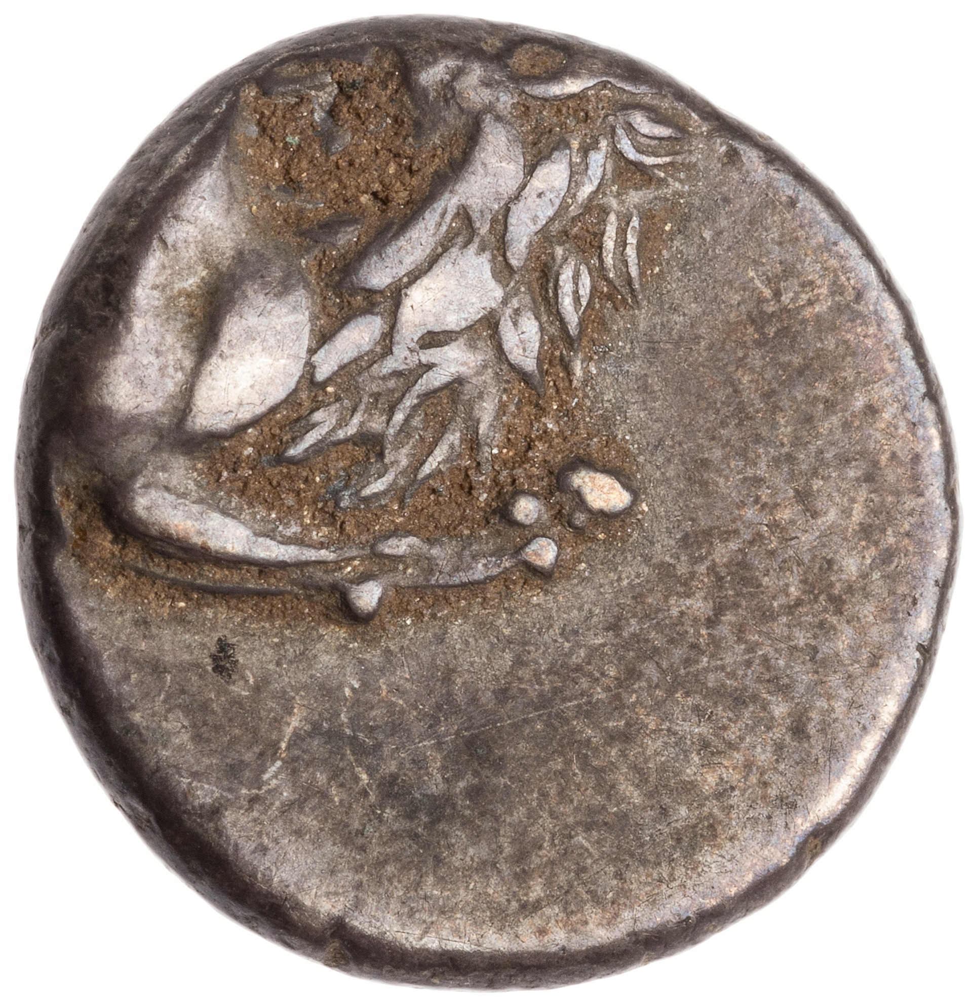 CN Type cn.chersonesus_thrace.1_ed.34, аверс, cn-coins