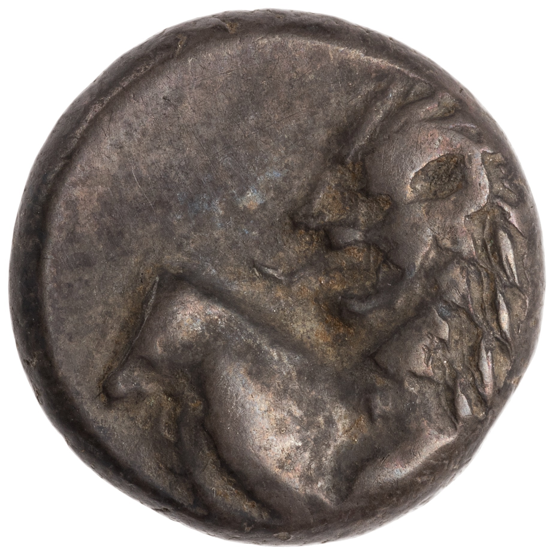 CN Type cn.chersonesus_thrace.1_ed.34, аверс, cn-coins