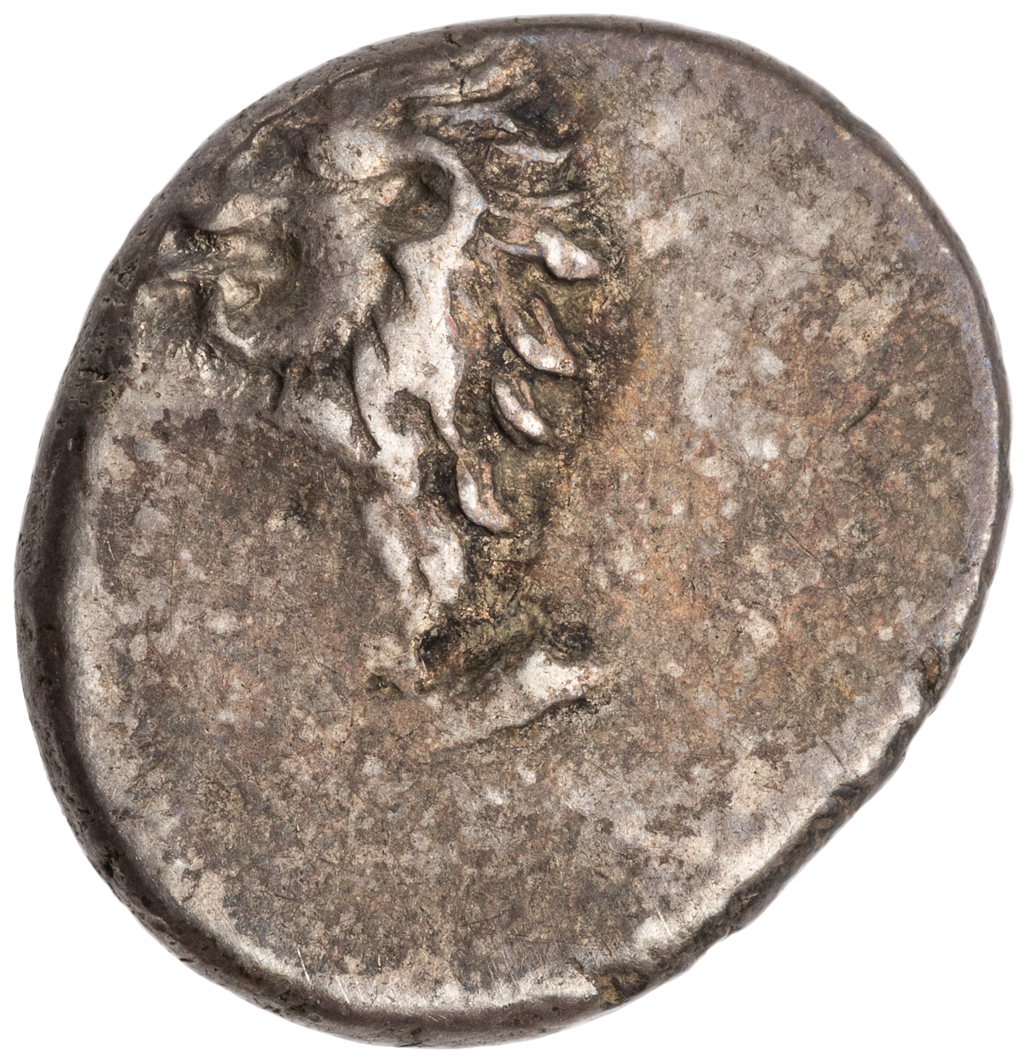 CN Type cn.chersonesus_thrace.1_ed.34, аверс, cn-coins