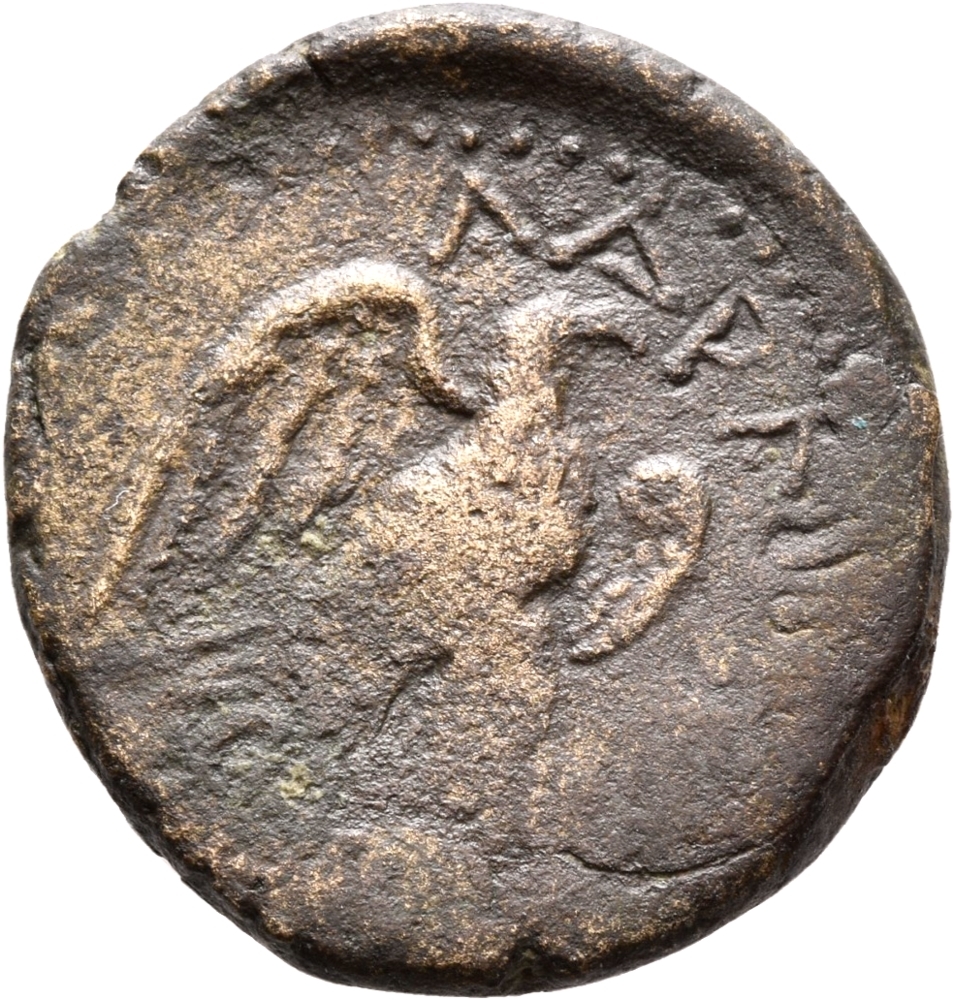 coin rev