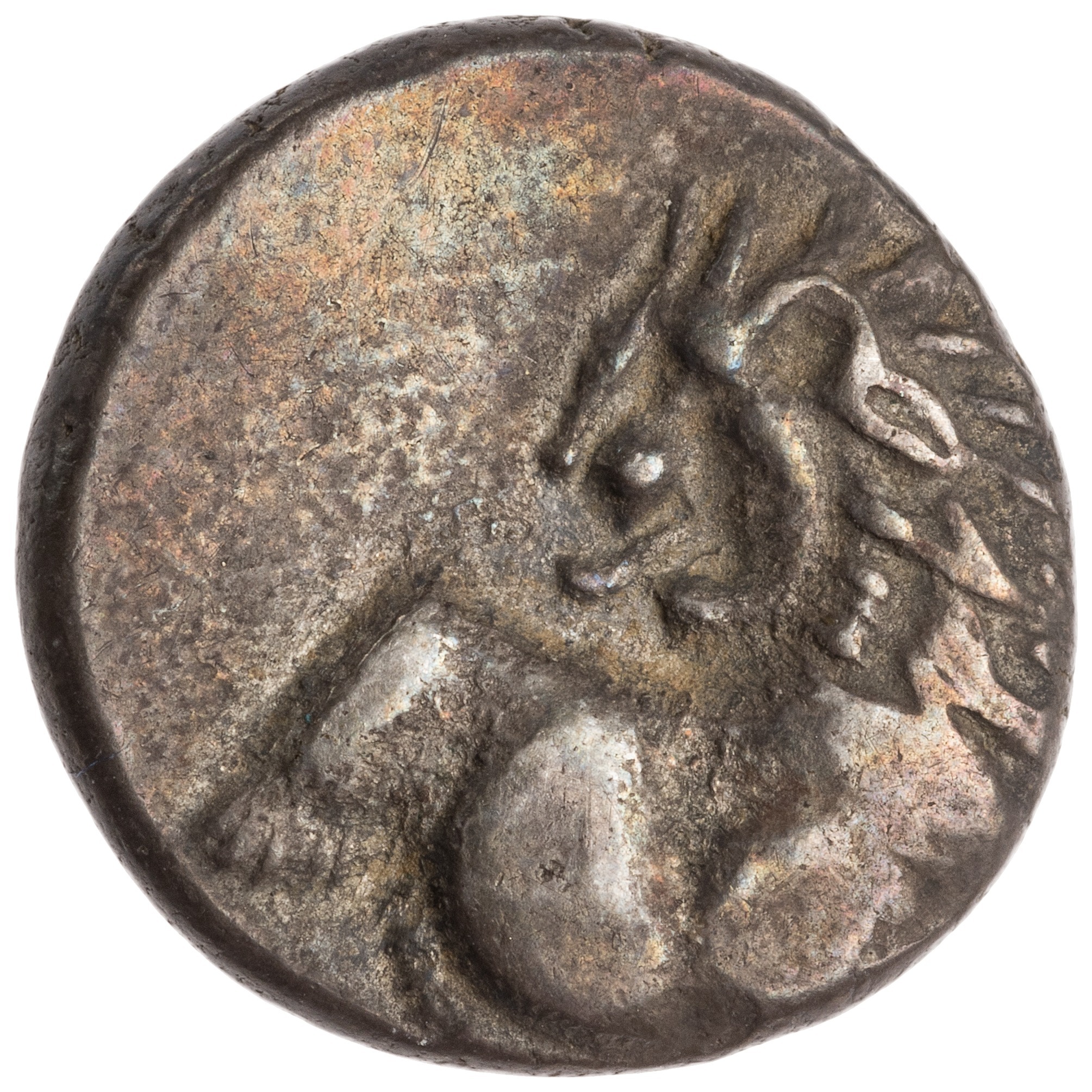 CN Type cn.chersonesus_thrace.1_ed.108, аверс, cn-coins