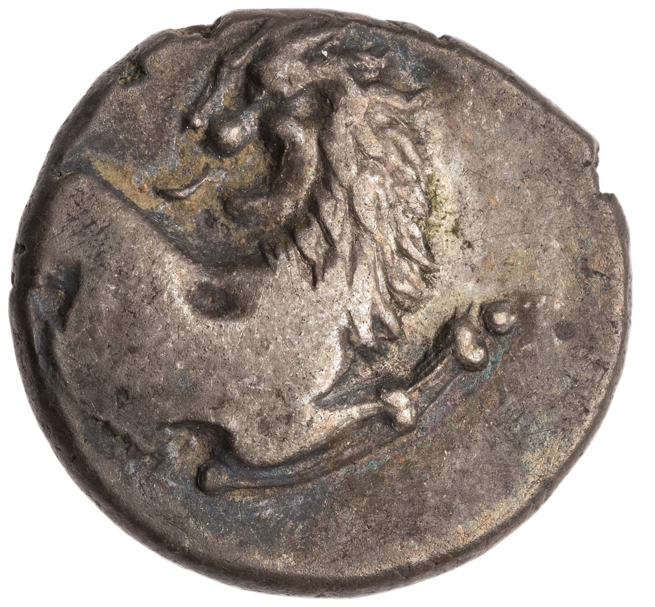 CN Type cn.chersonesus_thrace.1_ed.108, аверс, cn-coins