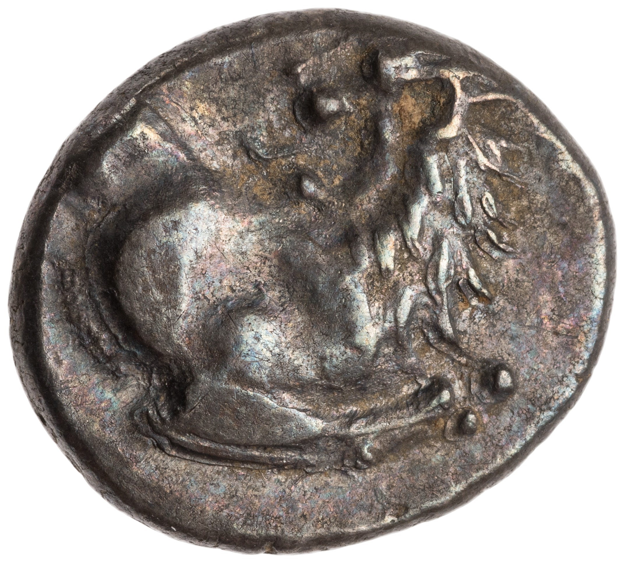 CN Type cn.chersonesus_thrace.1_ed.108, аверс, cn-coins