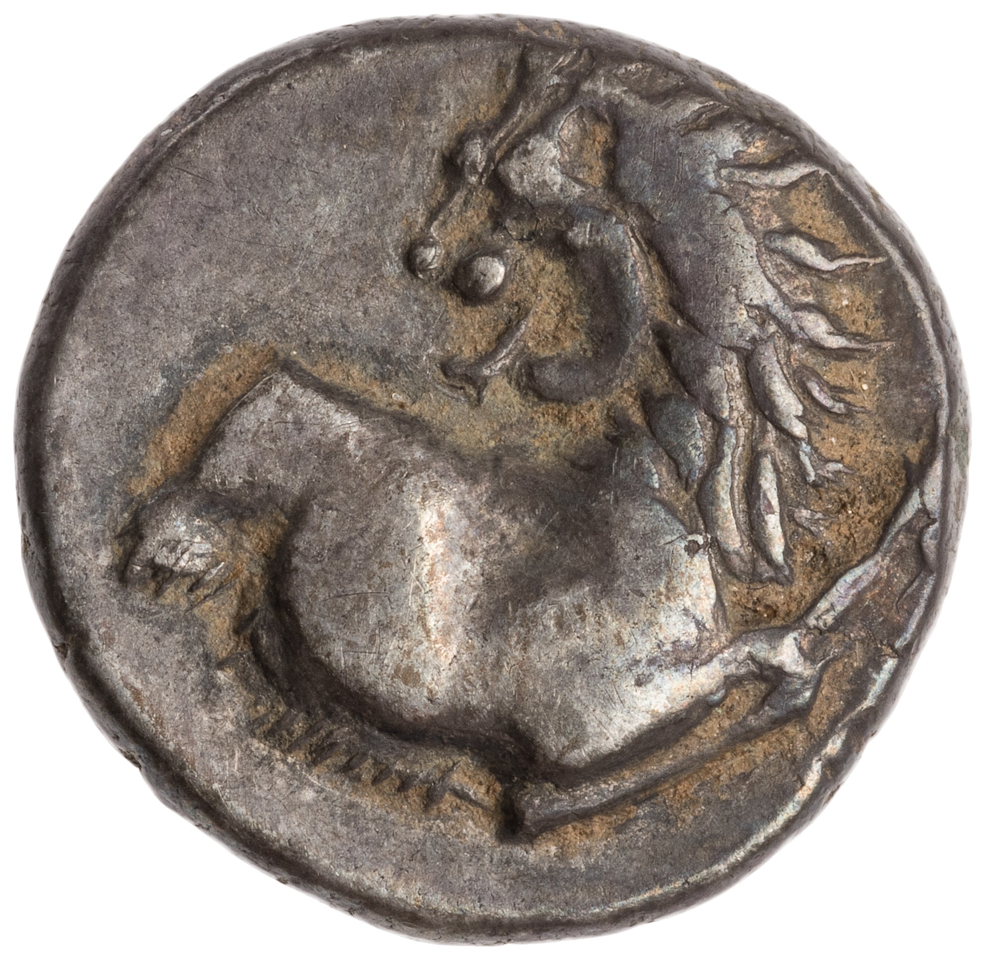 CN Type cn.chersonesus_thrace.1_ed.108, аверс, cn-coins