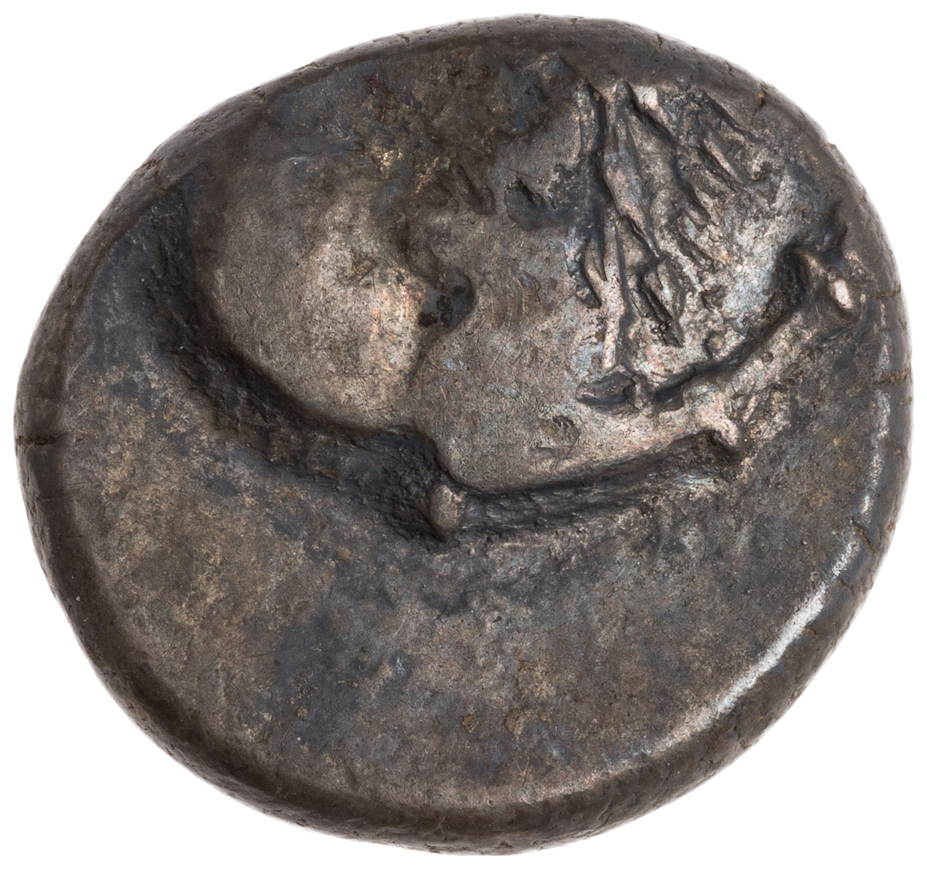 CN Type cn.chersonesus_thrace.1_ed.109, аверс, cn-coins