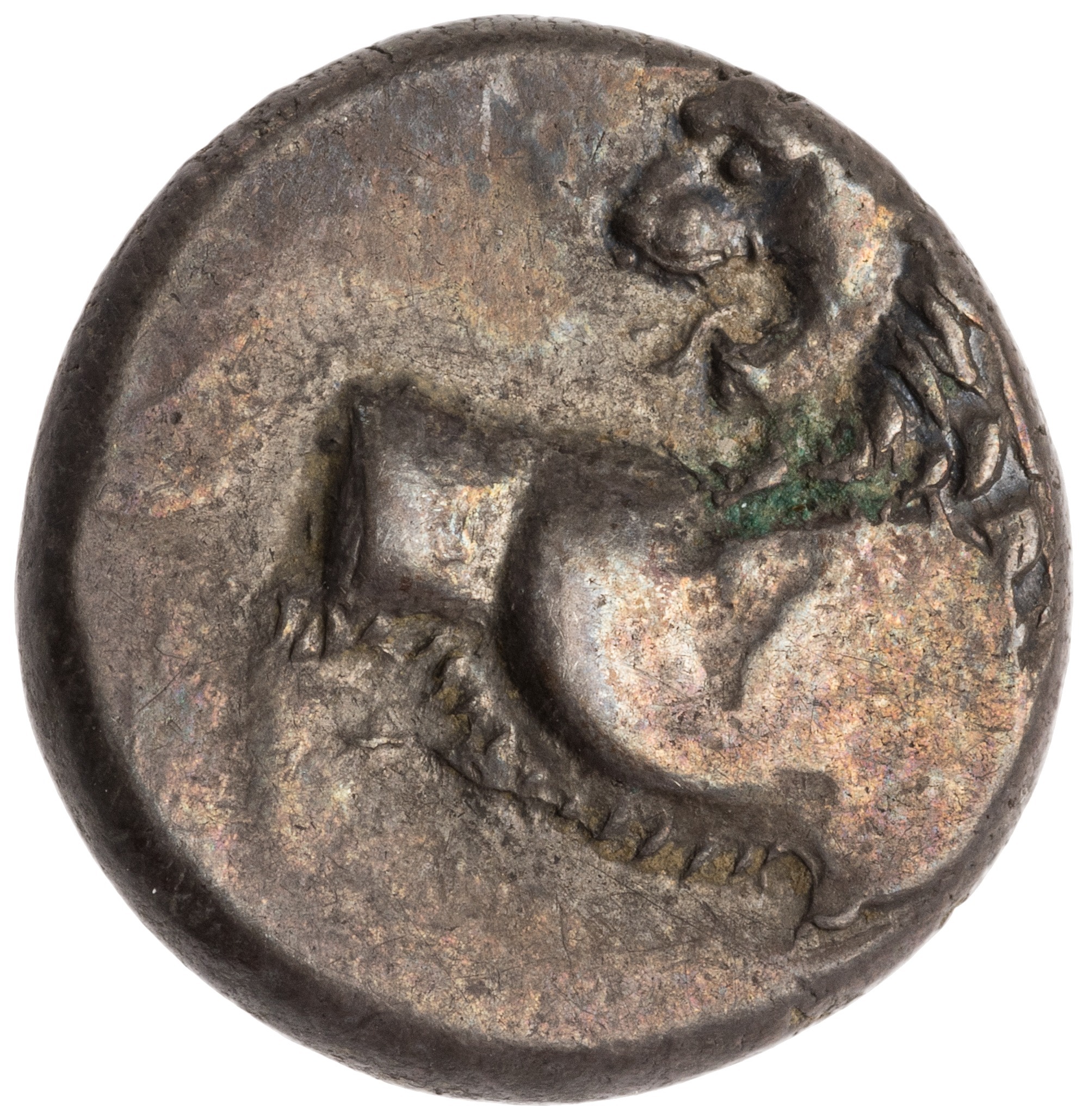 CN Type cn.chersonesus_thrace.1_ed.109, аверс, cn-coins