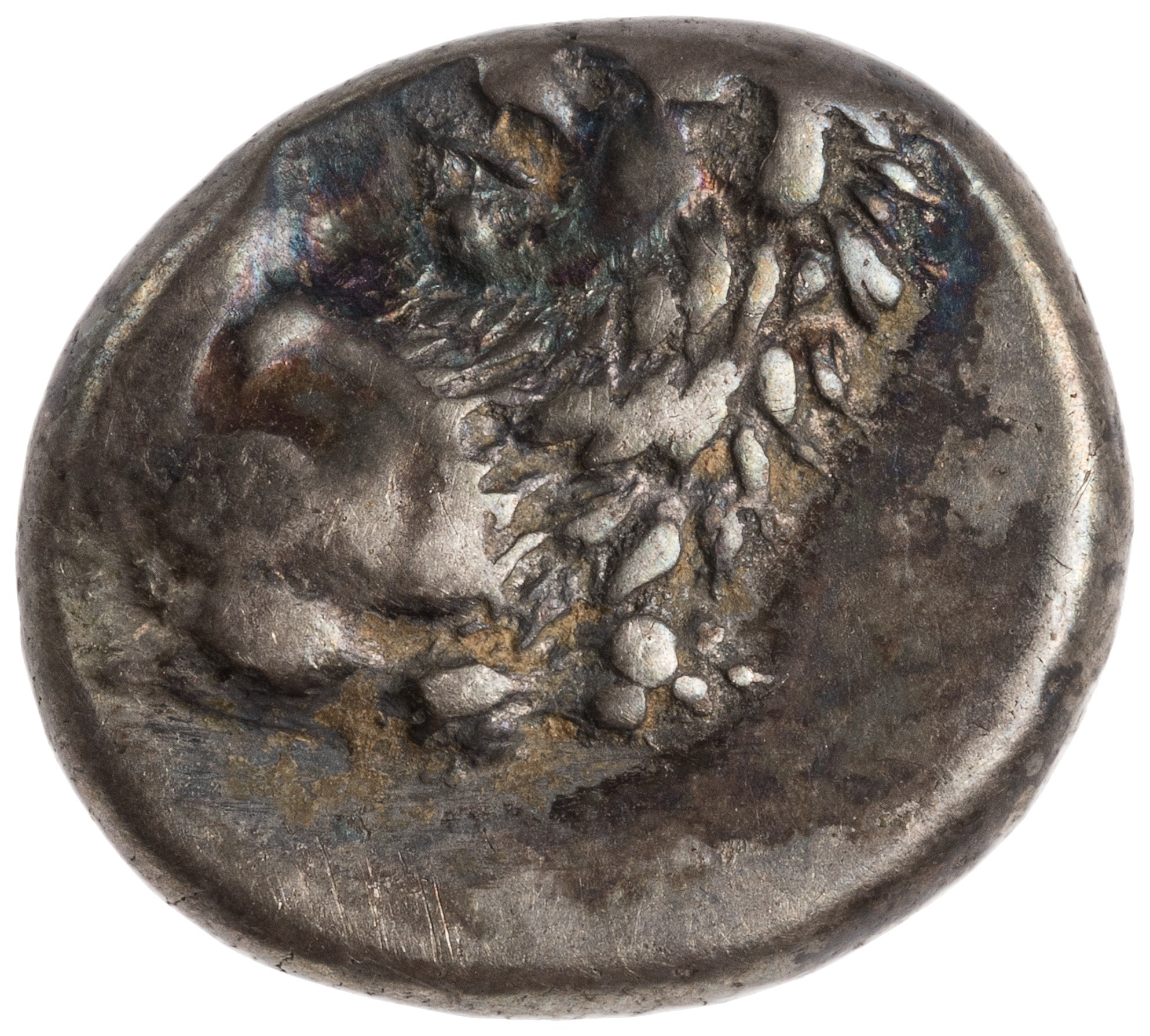 CN Type cn.chersonesus_thrace.1_ed.109, аверс, cn-coins
