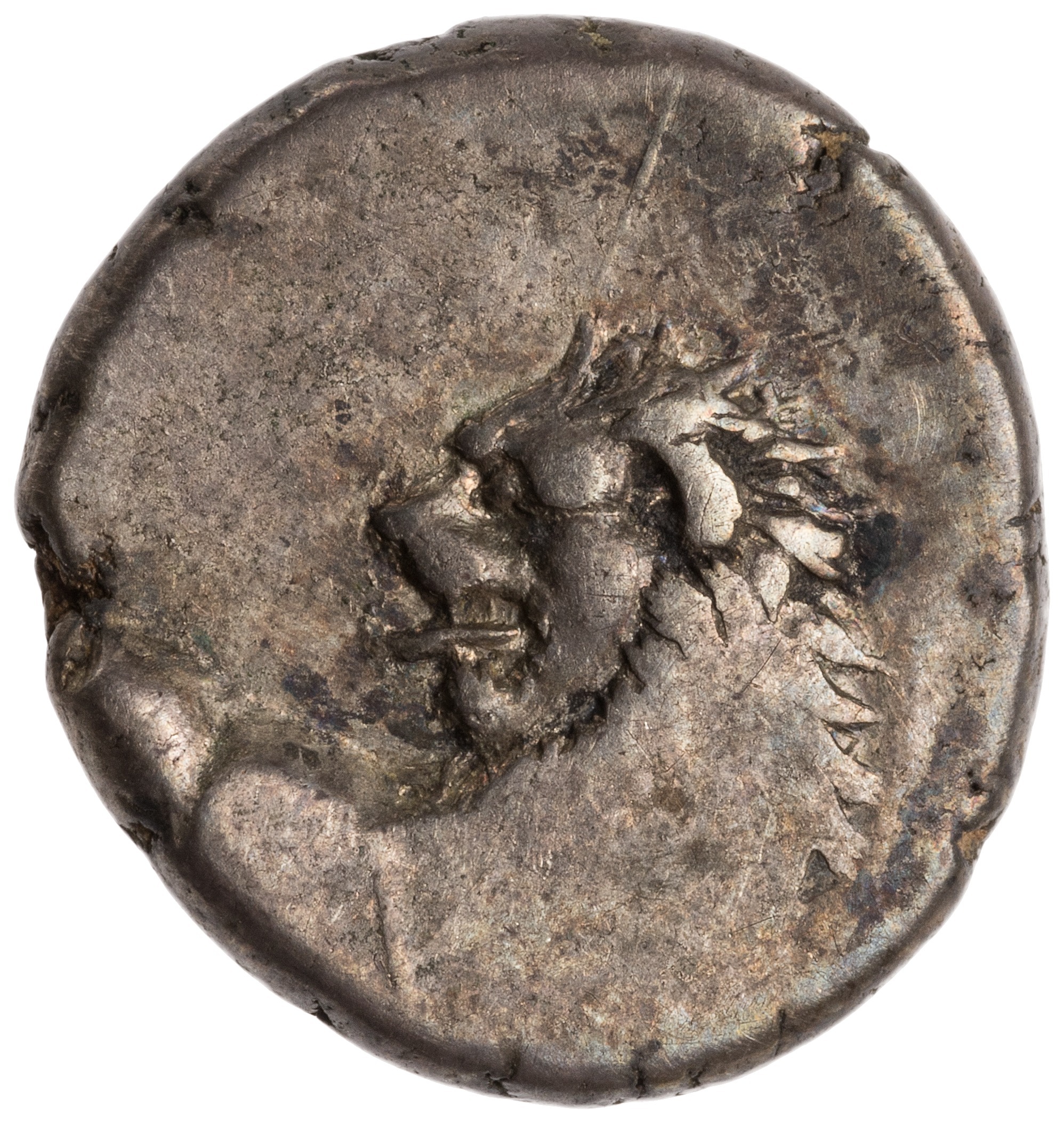 CN Type cn.chersonesus_thrace.1_ed.109, аверс, cn-coins