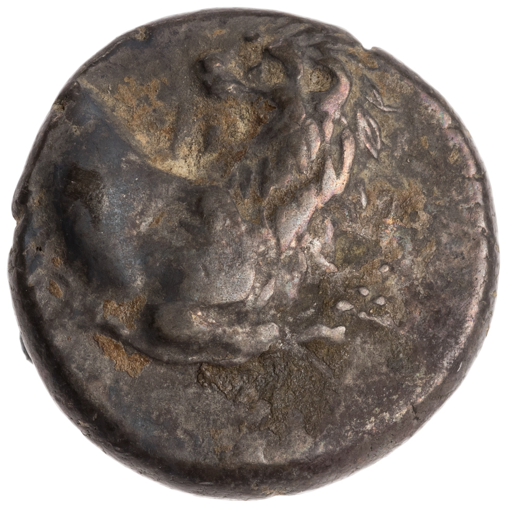 CN Type cn.chersonesus_thrace.1_ed.109, аверс, cn-coins