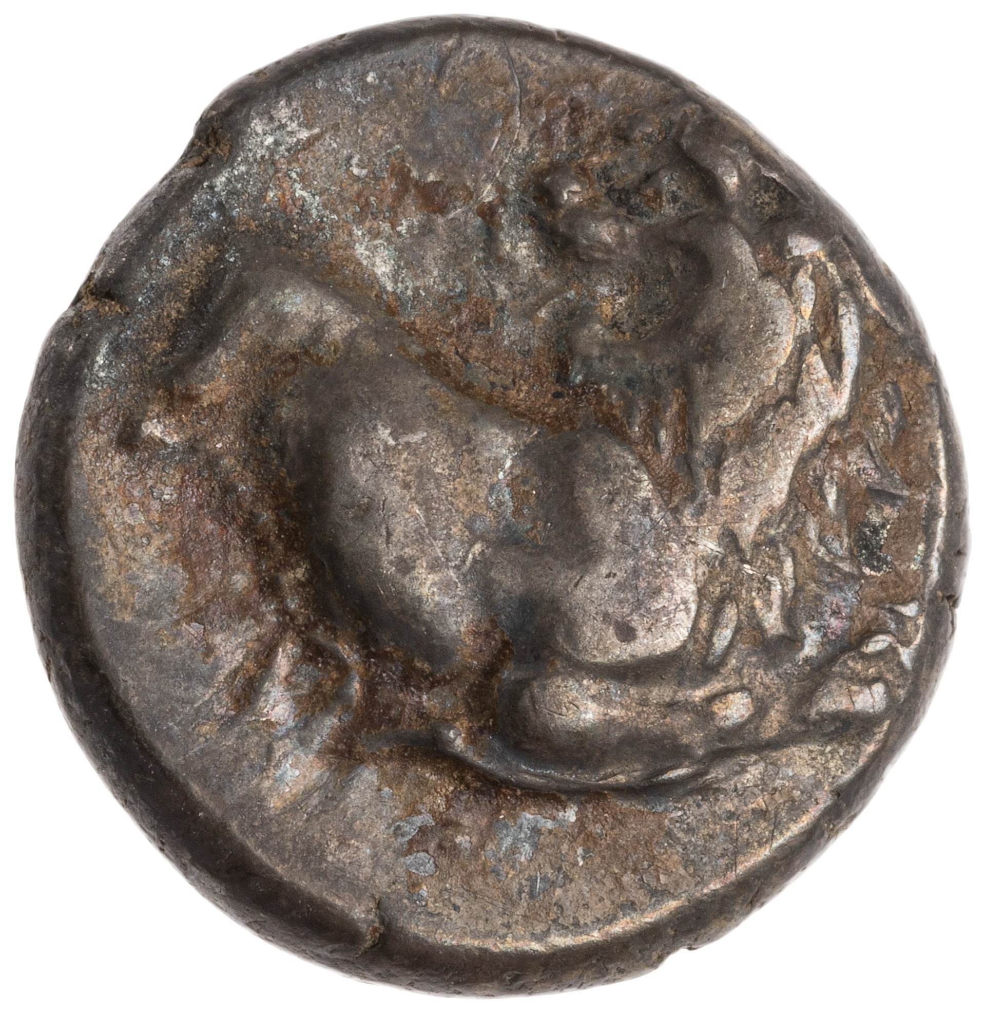 CN Type cn.chersonesus_thrace.1_ed.109, аверс, cn-coins