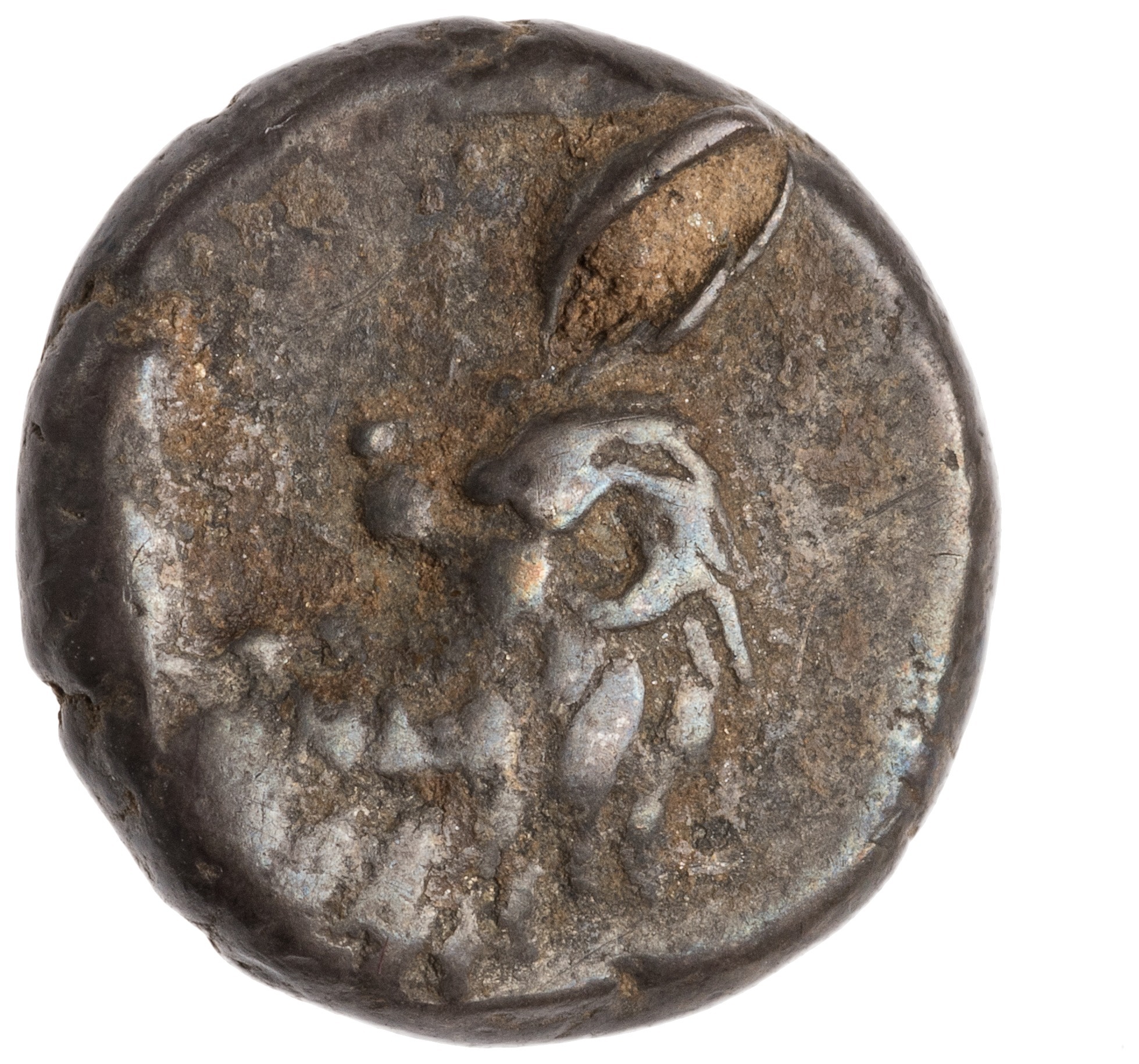 CN Type cn.chersonesus_thrace.1_ed.109, аверс, cn-coins