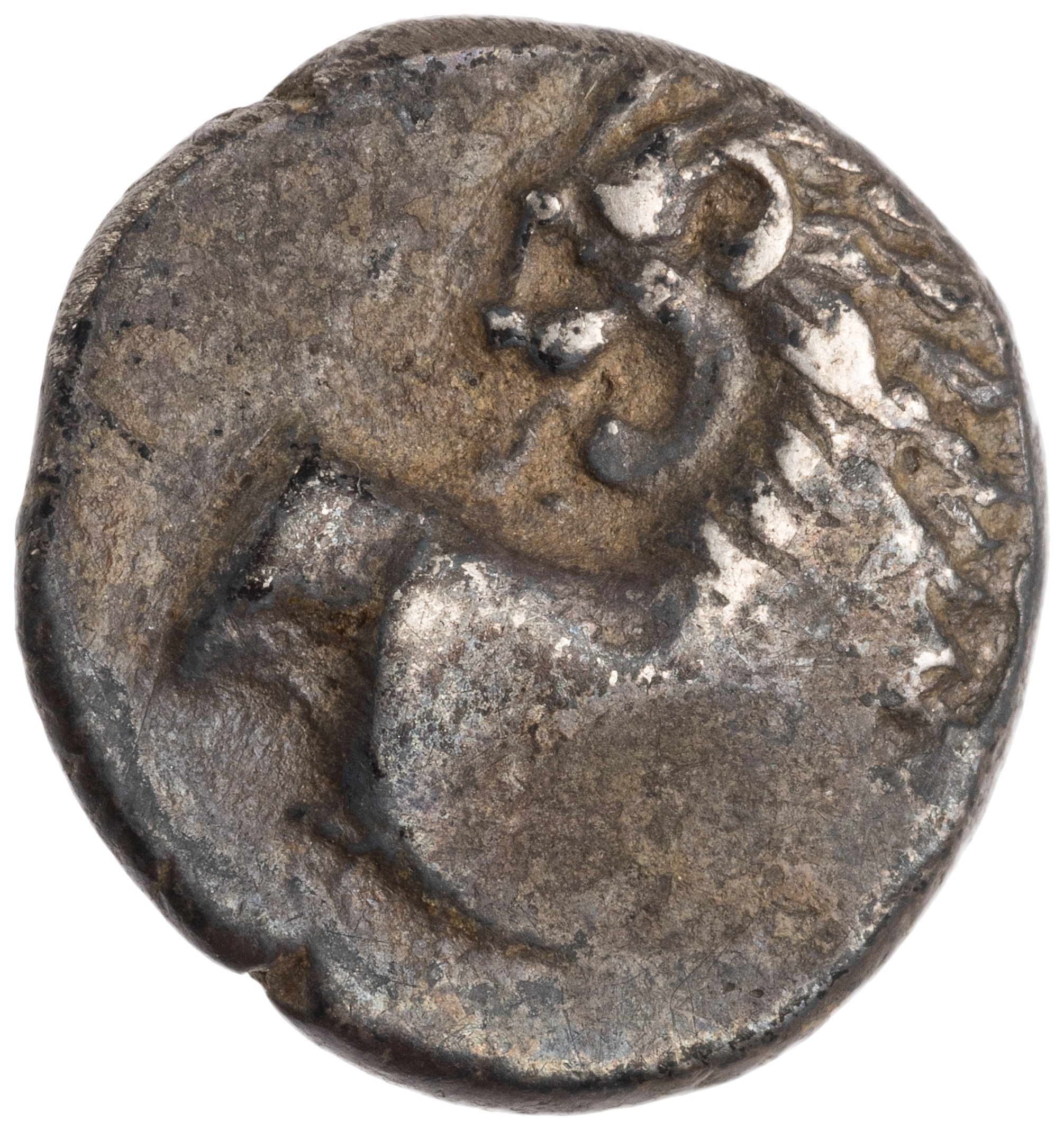 CN Type cn.chersonesus_thrace.1_ed.111, аверс, cn-coins