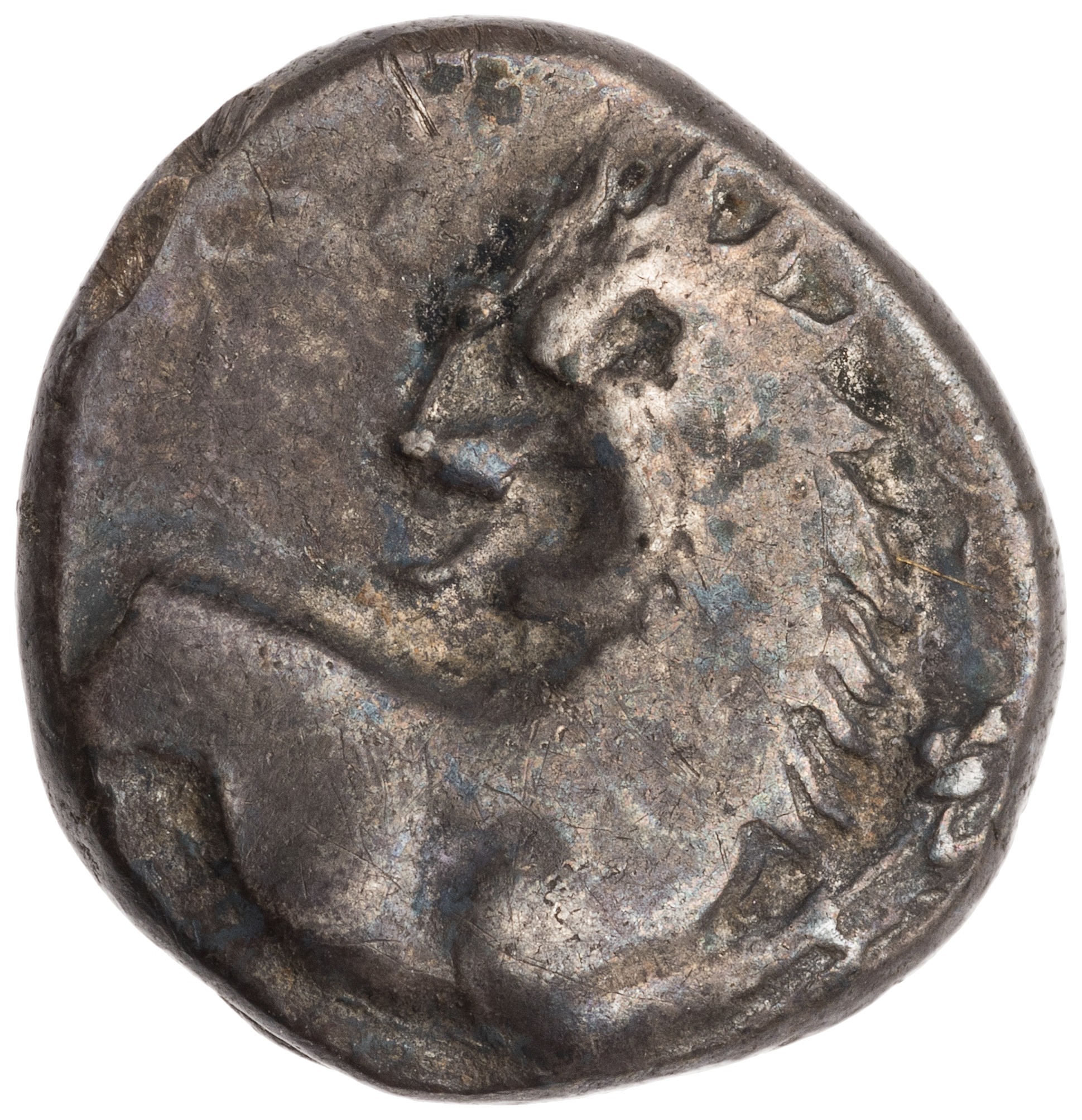 CN Type cn.chersonesus_thrace.1_ed.111, аверс, cn-coins