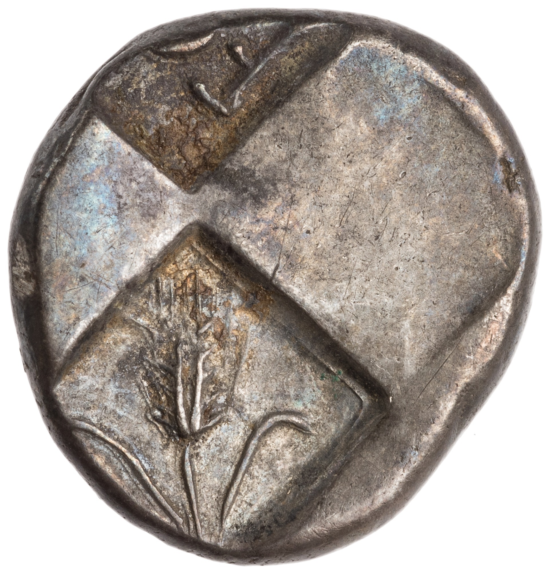 CN Type cn.chersonesus_thrace.1_ed.111, реверс, cn-coins