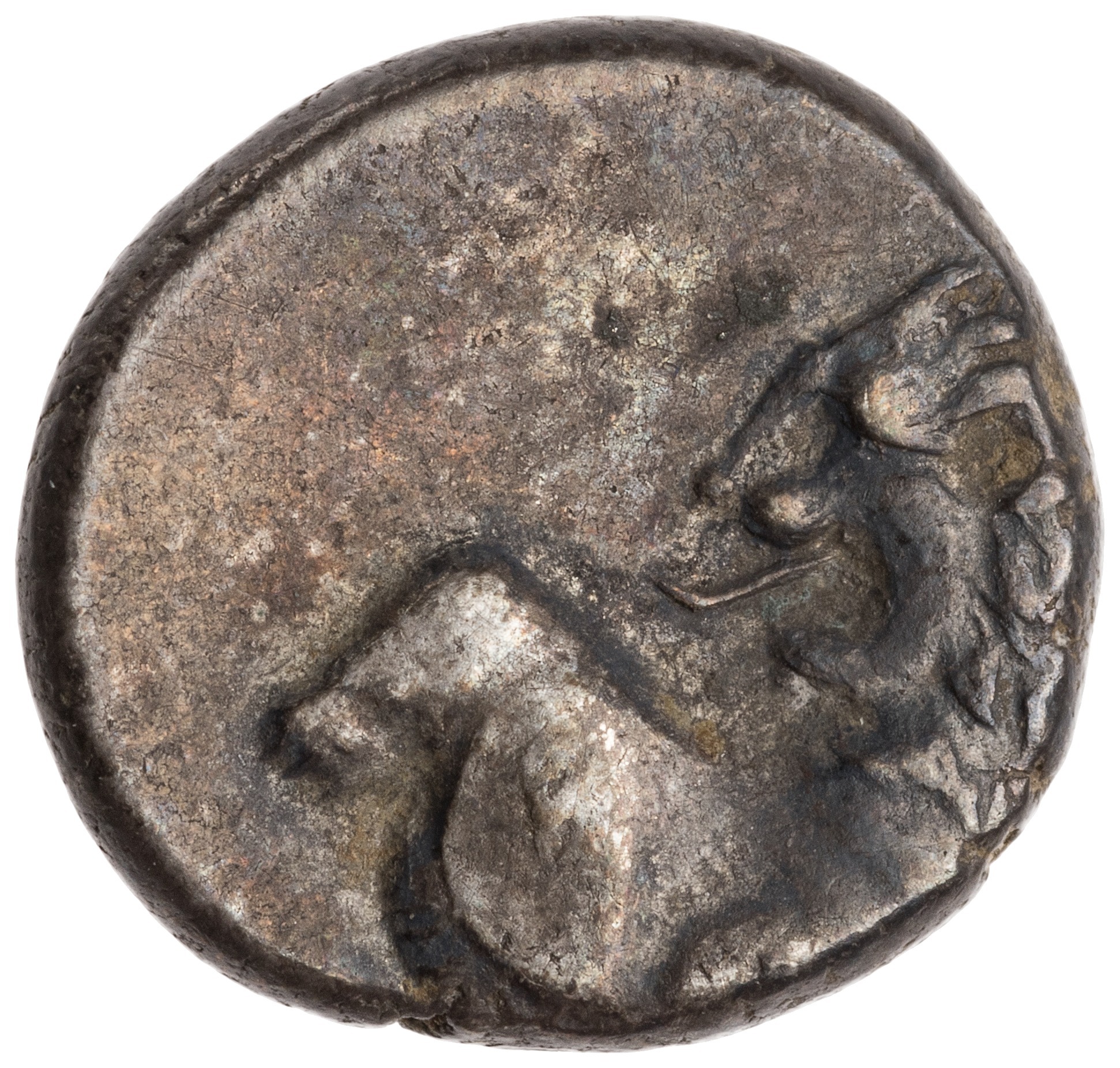 CN Type cn.chersonesus_thrace.1_ed.111, аверс, cn-coins