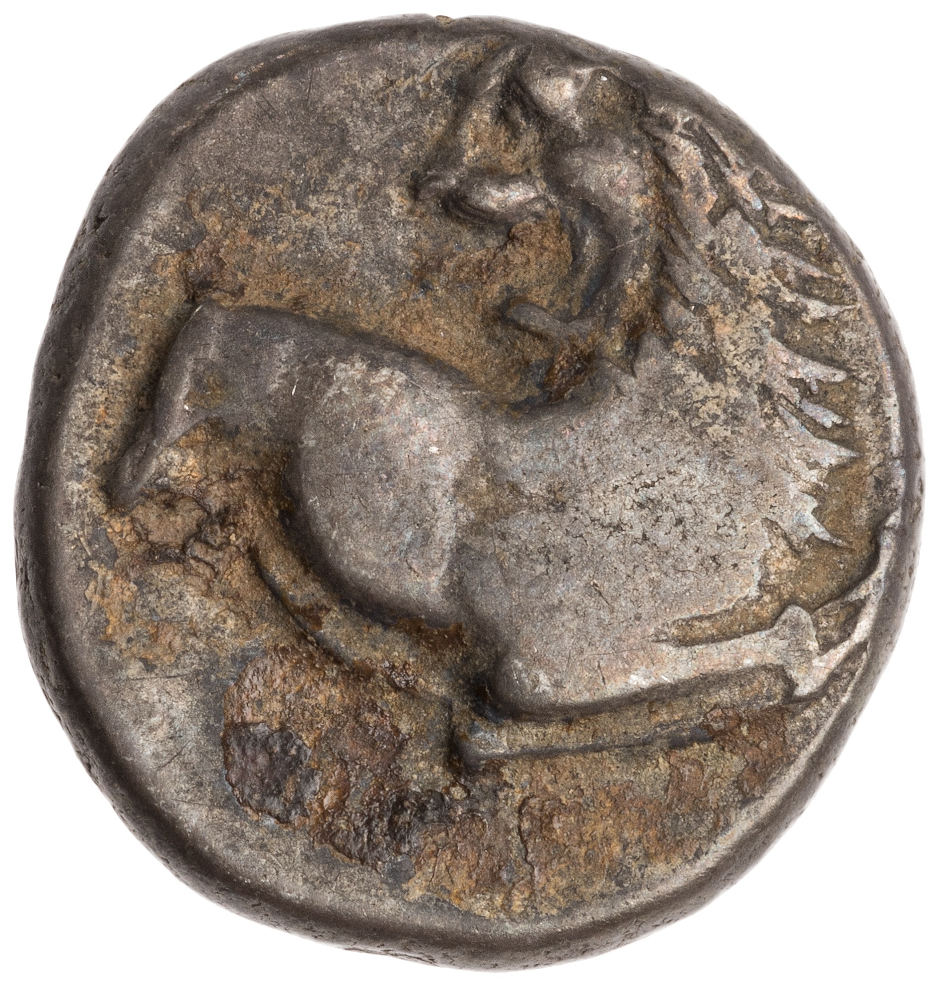 CN Type cn.chersonesus_thrace.1_ed.111, аверс, cn-coins