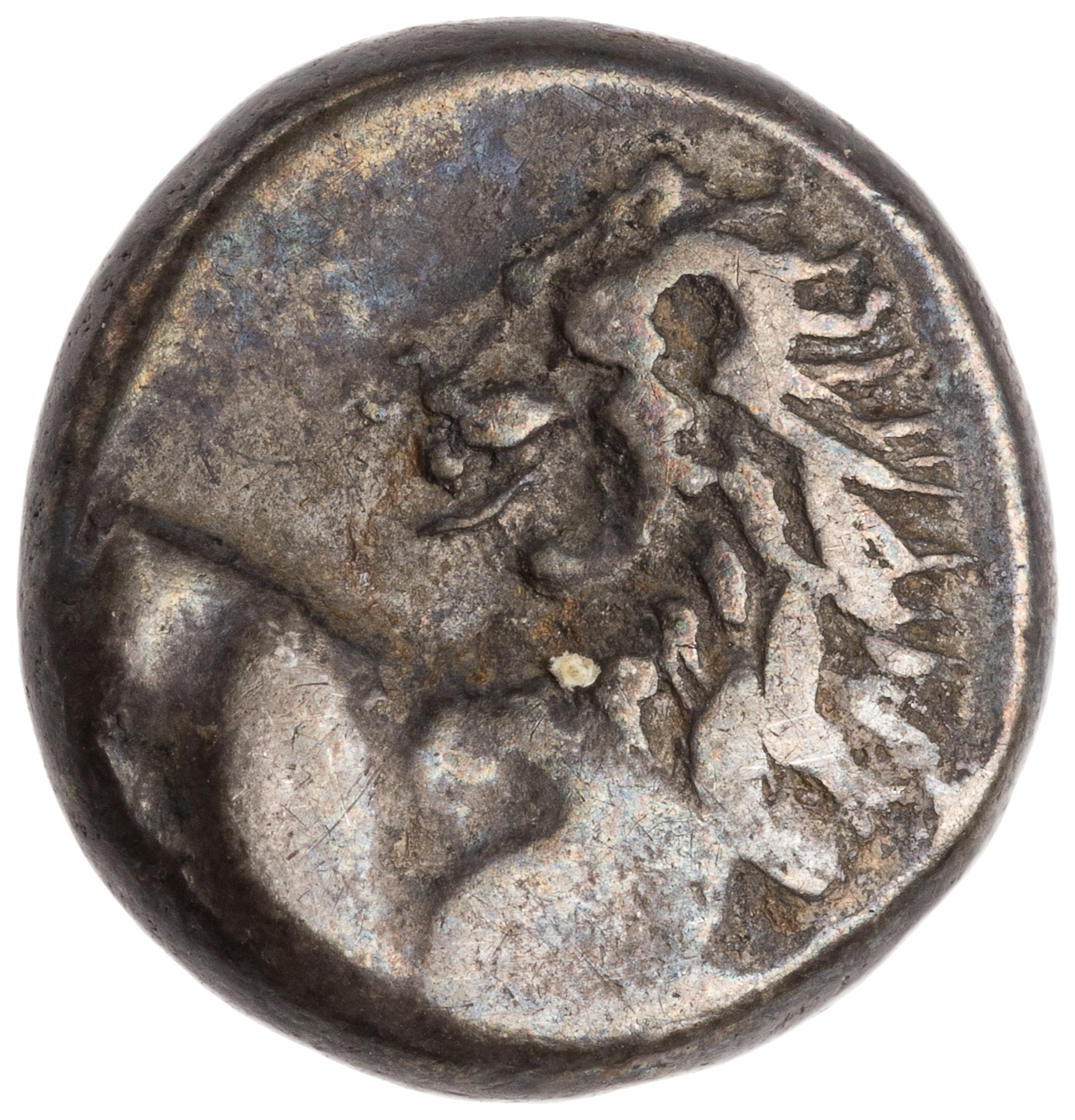 CN Type cn.chersonesus_thrace.1_ed.111, аверс, cn-coins