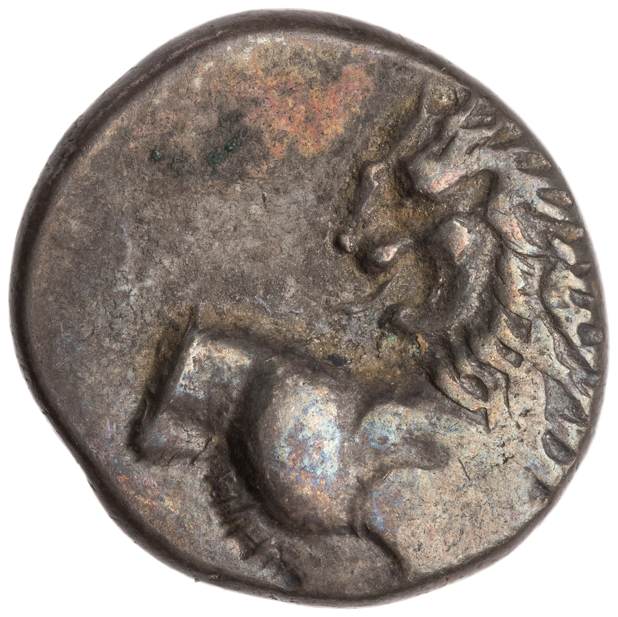 CN Type cn.chersonesus_thrace.1_ed.111, аверс, cn-coins