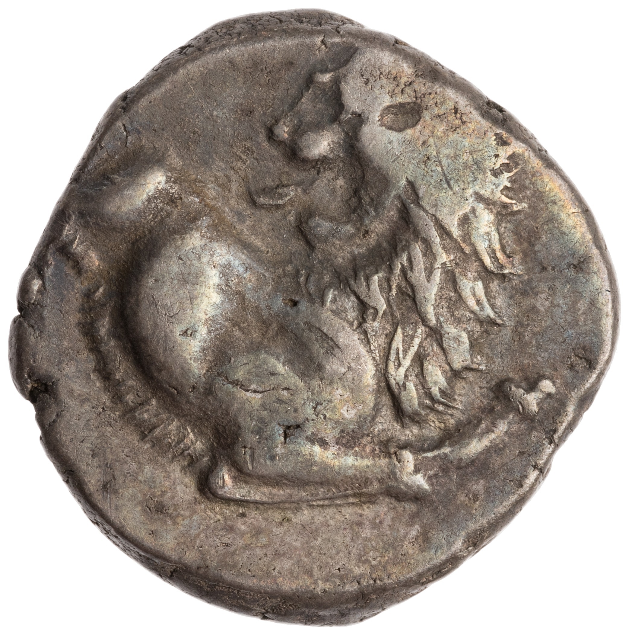 CN Type cn.chersonesus_thrace.1_ed.111, аверс, cn-coins