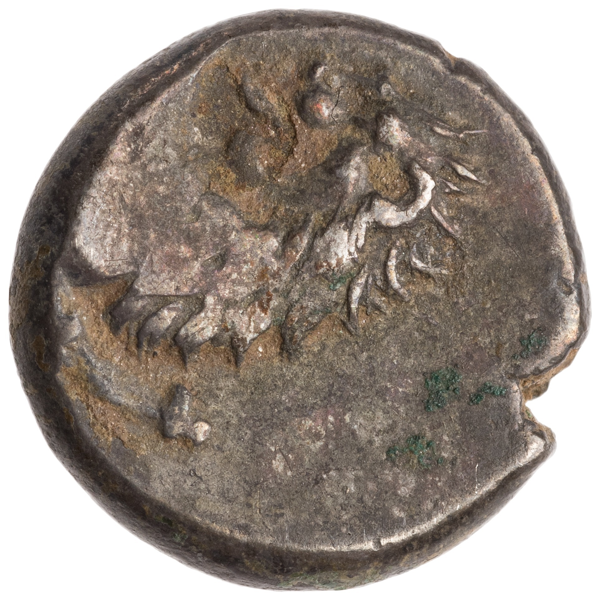 CN Type cn.chersonesus_thrace.1_ed.111, аверс, cn-coins