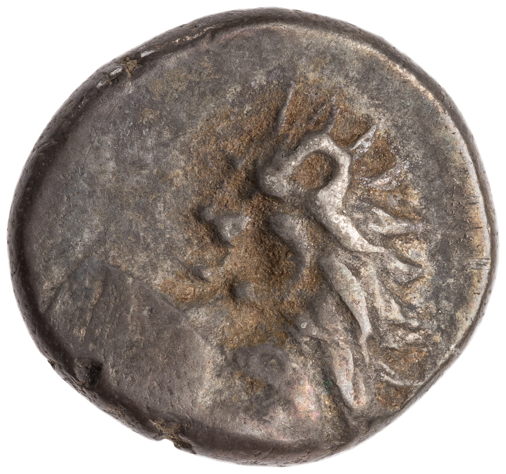 CN Type cn.chersonesus_thrace.1_ed.112, аверс, cn-coins