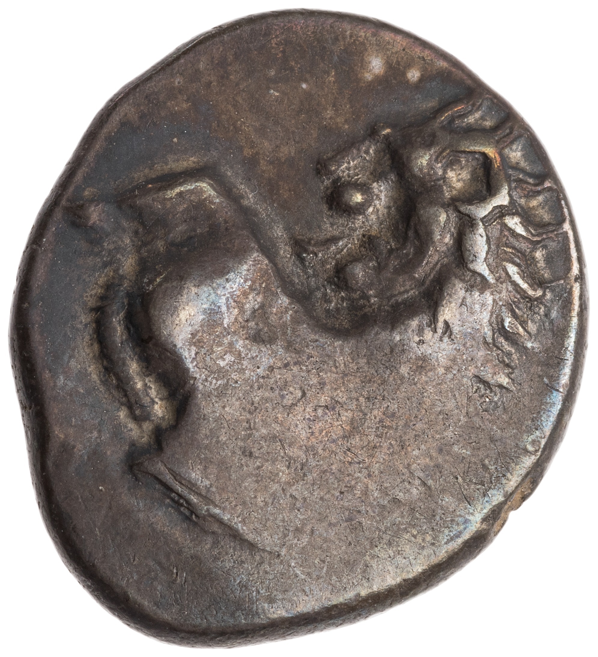 CN Type cn.chersonesus_thrace.1_ed.112, аверс, cn-coins