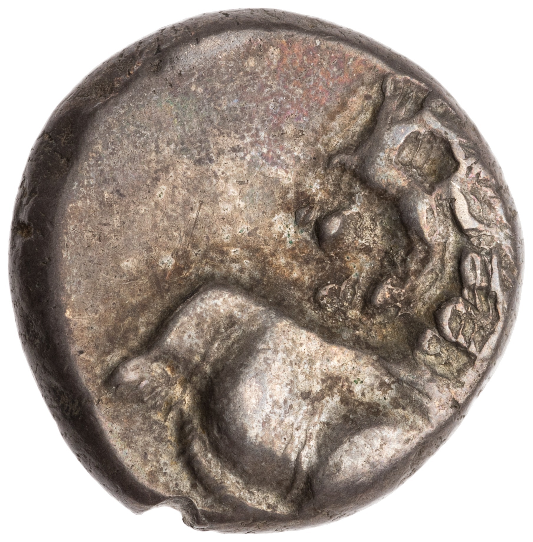 CN Type cn.chersonesus_thrace.1_ed.112, аверс, cn-coins