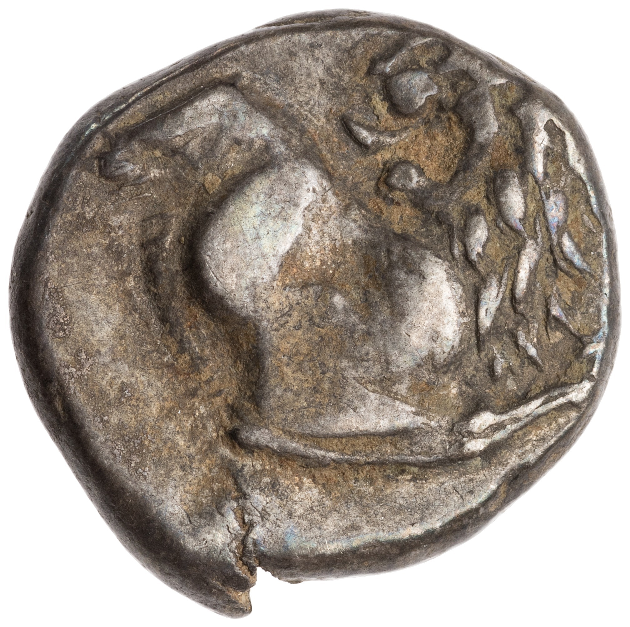 CN Type cn.chersonesus_thrace.1_ed.112, аверс, cn-coins