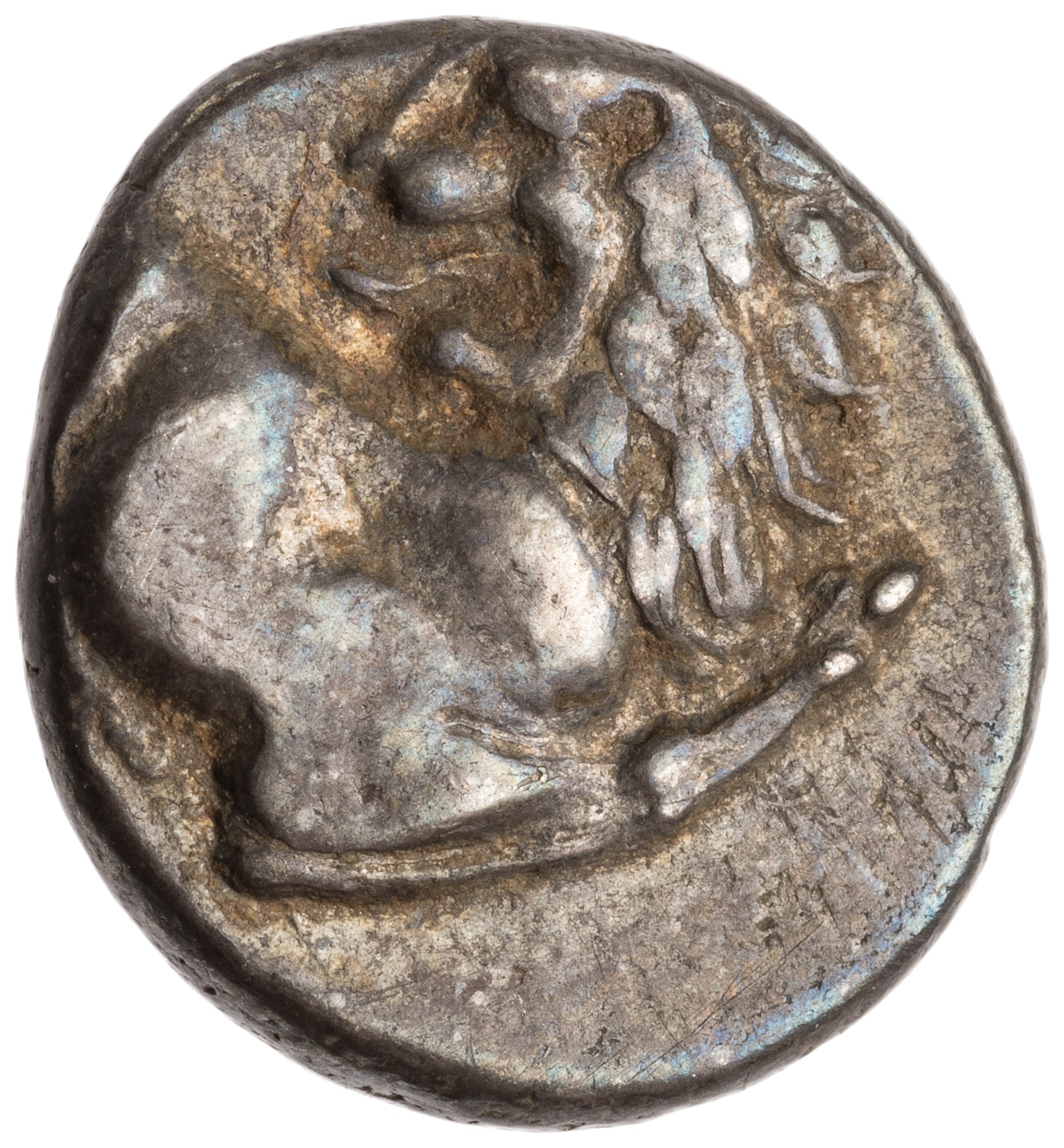 CN Type cn.chersonesus_thrace.1_ed.112, аверс, cn-coins
