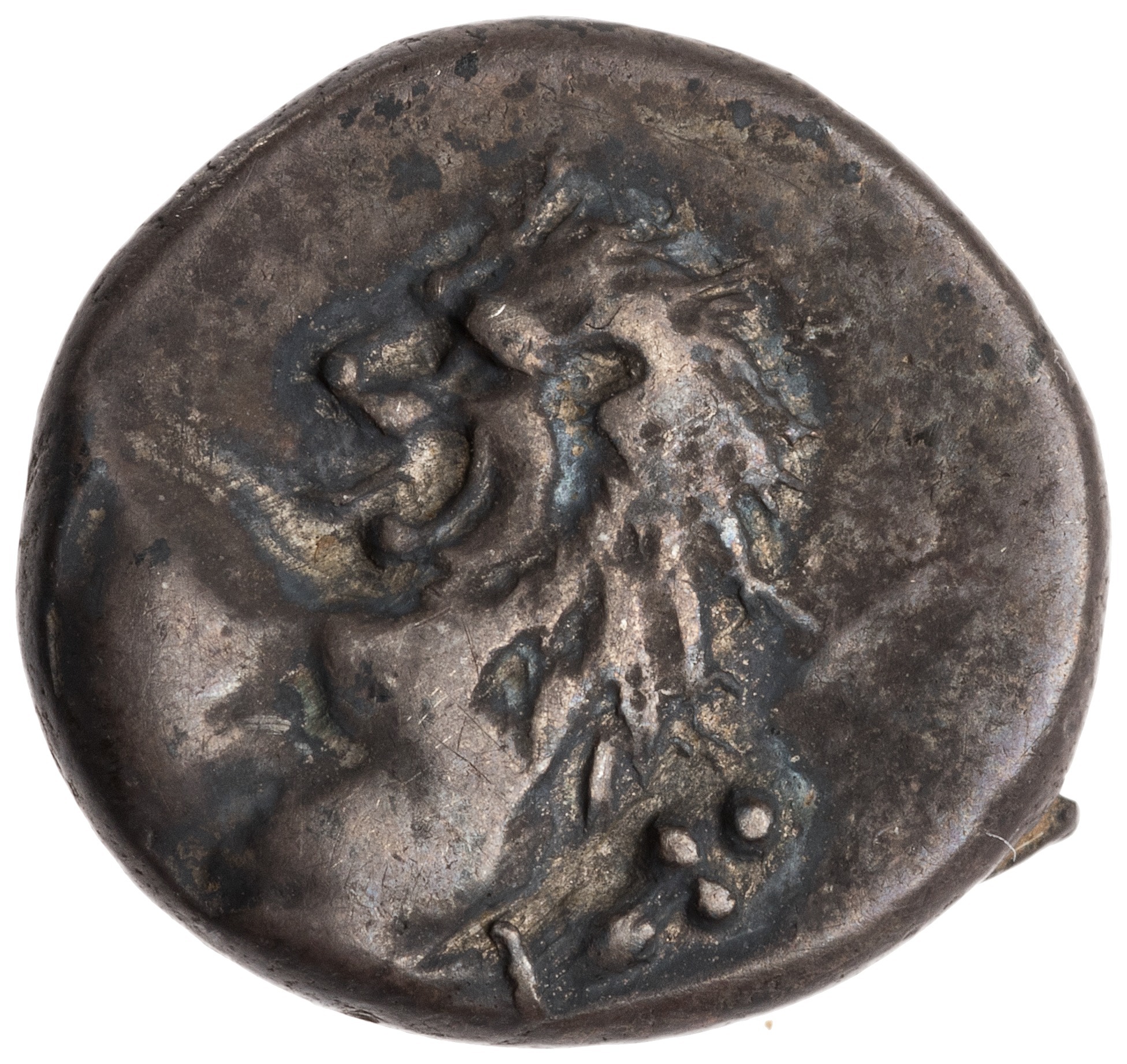 CN Type cn.chersonesus_thrace.1_ed.11, аверс, cn-coins