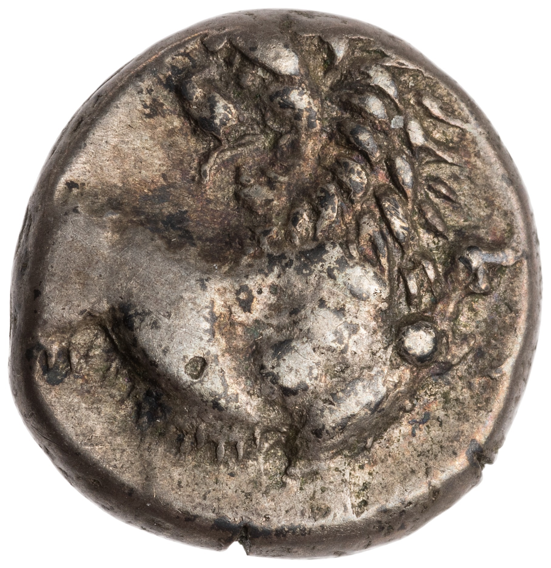 CN Type cn.chersonesus_thrace.1_ed.11, аверс, cn-coins