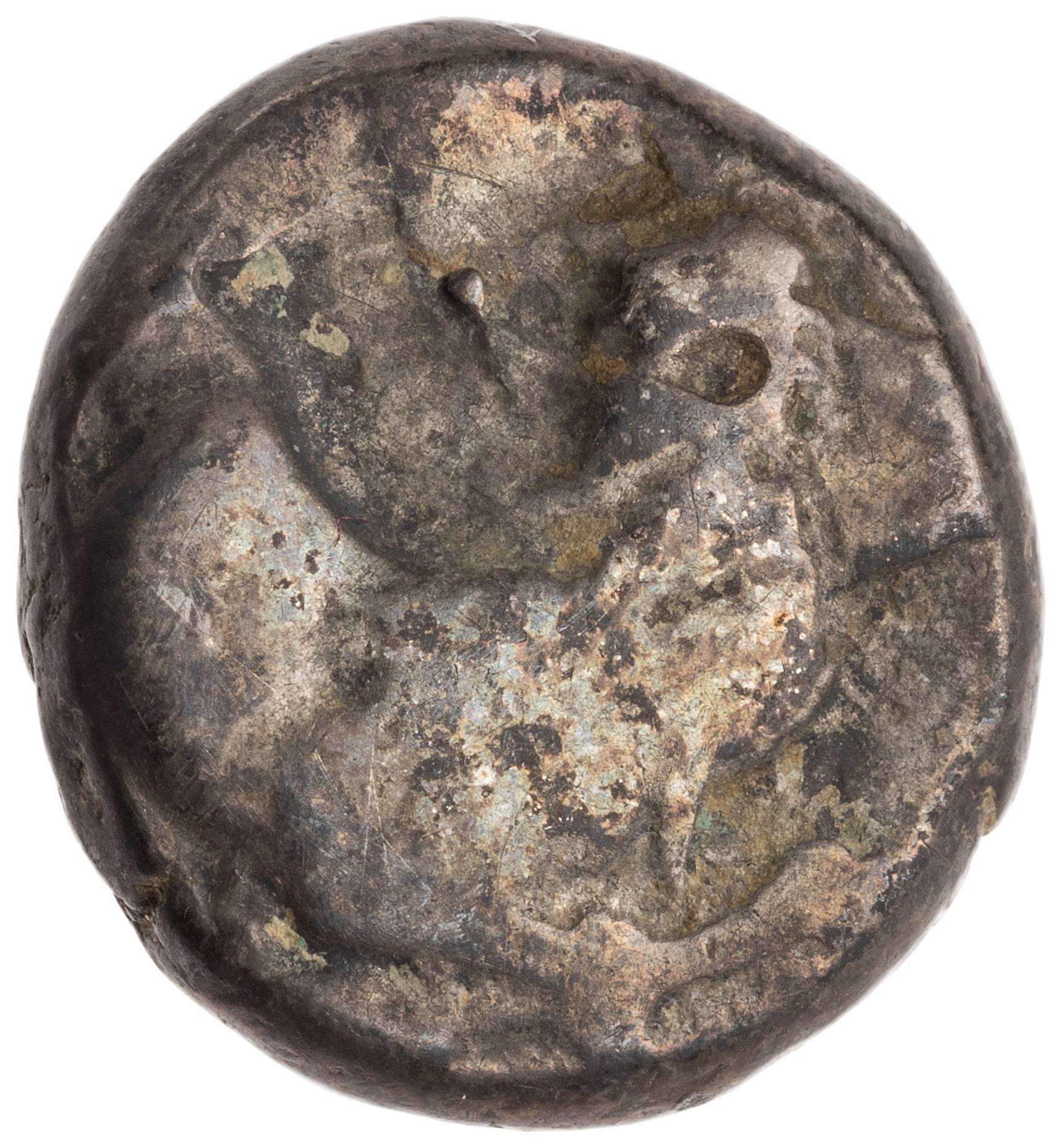 CN Type cn.chersonesus_thrace.1_ed.11, аверс, cn-coins