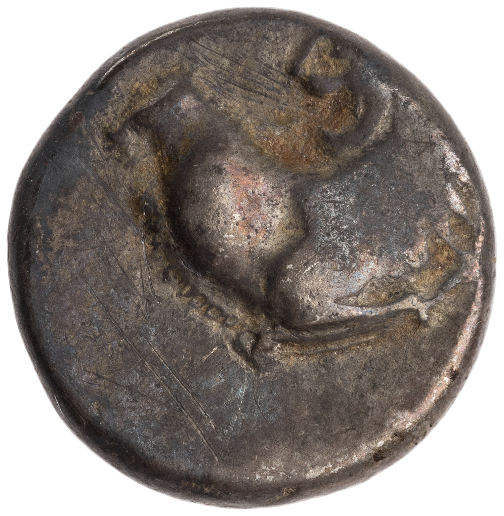 CN Type cn.chersonesus_thrace.1_ed.11, аверс, cn-coins
