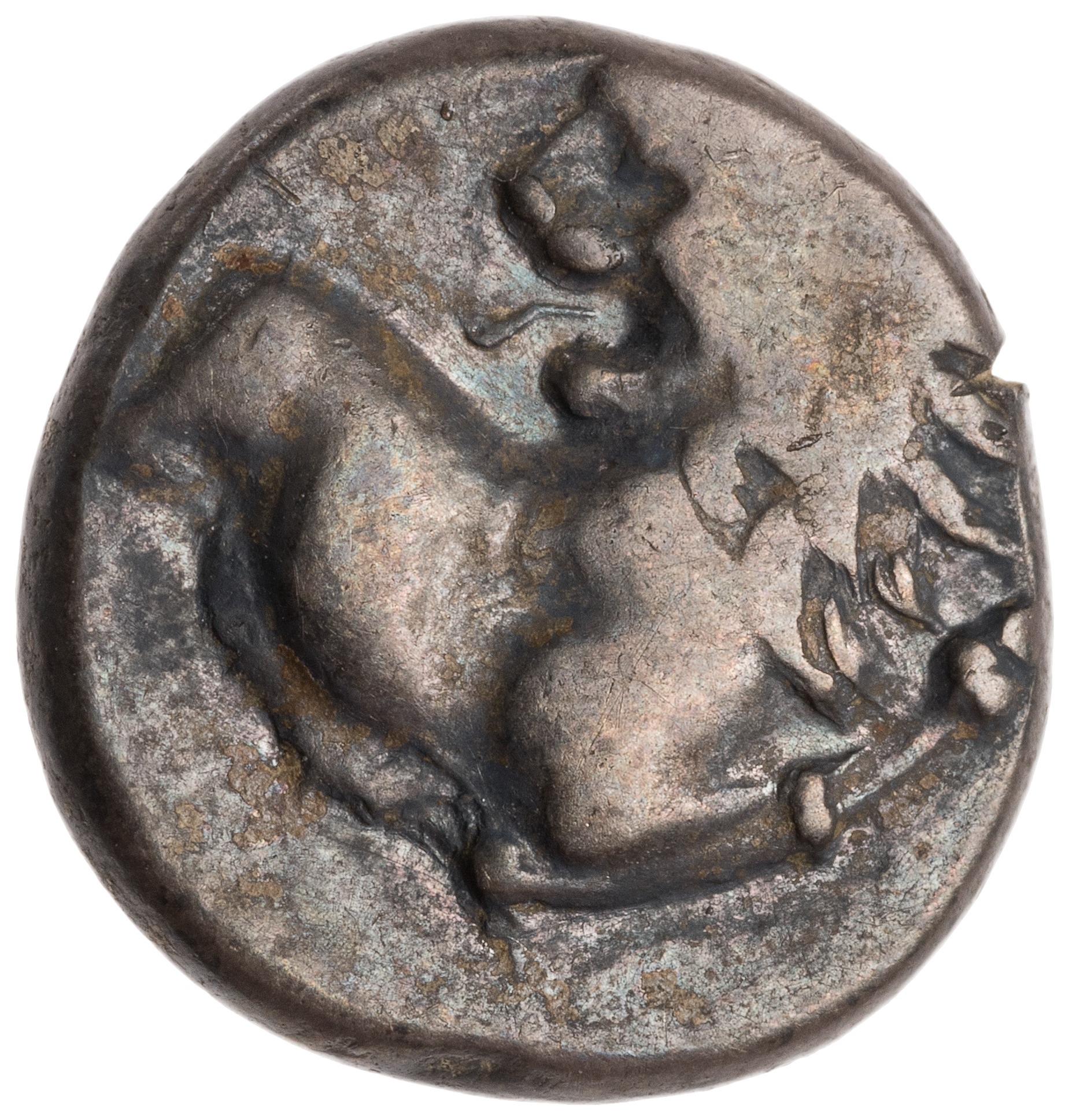 аверс CN Type cn.chersonesus_thrace.1_ed.12