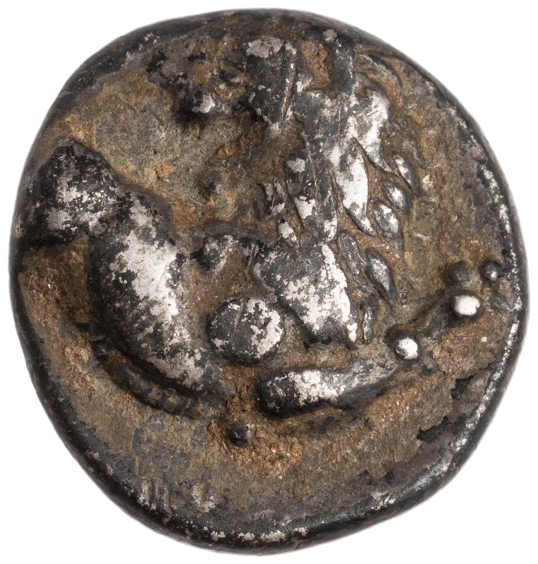 CN Type cn.chersonesus_thrace.1_ed.13, аверс, cn-coins