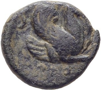 Orontas rev