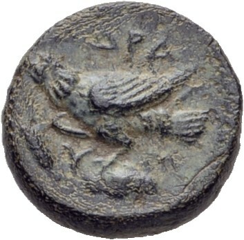 coin rev
